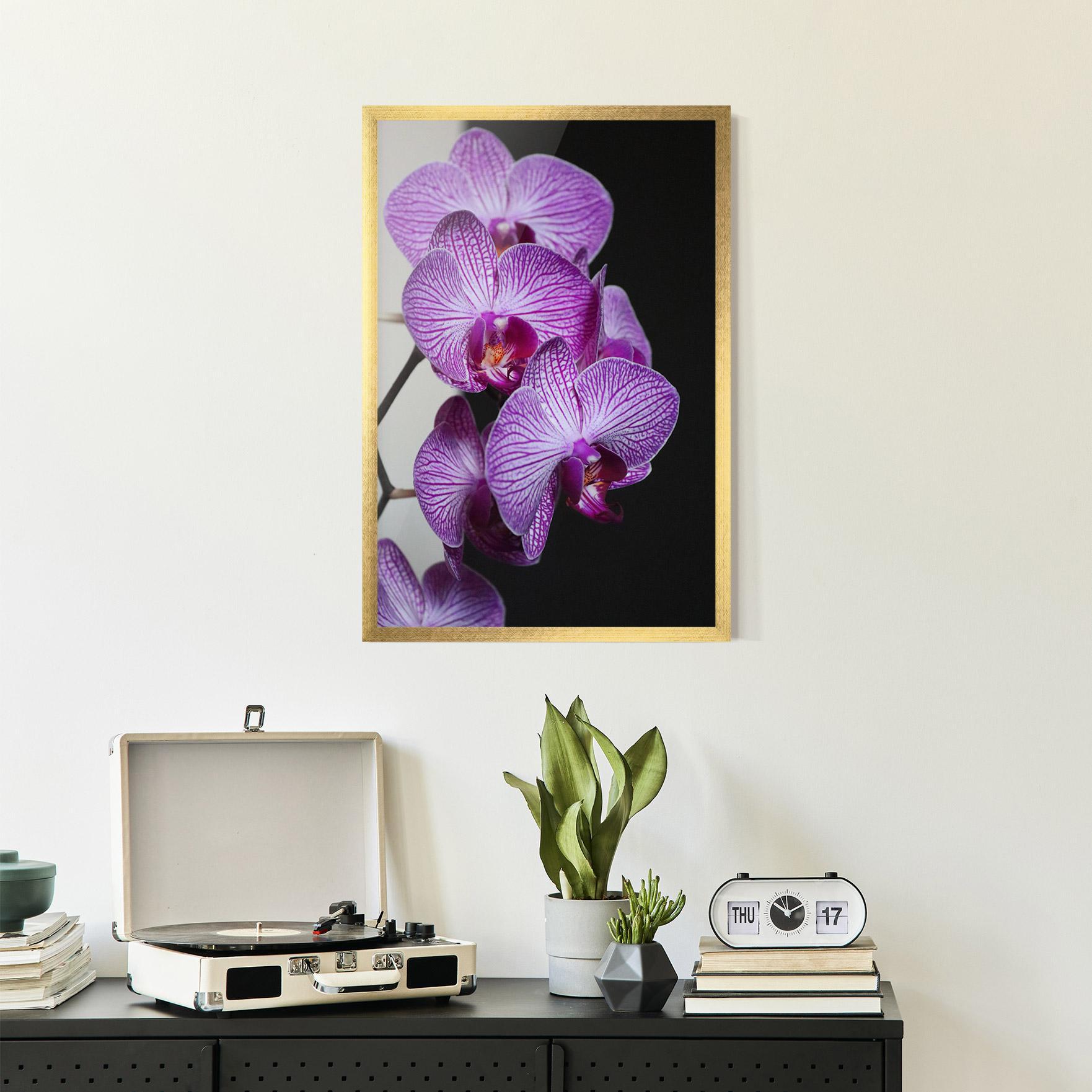 Gerahmte Poster Purple Orchid On Black mockup 2