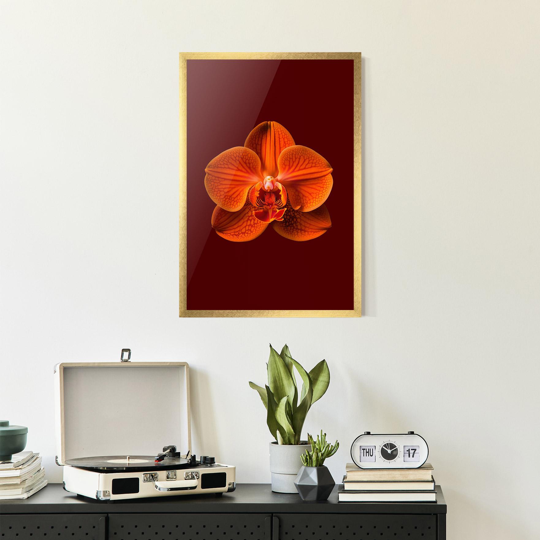 Gerahmte Poster Strong Orange Orchid mockup 2