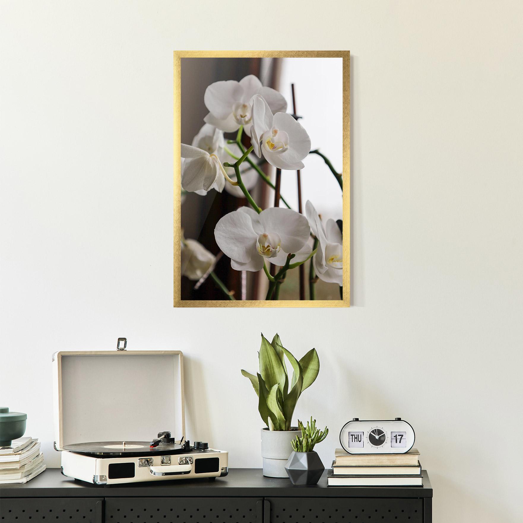 Gerahmte Poster White Orchid Growing mockup 2