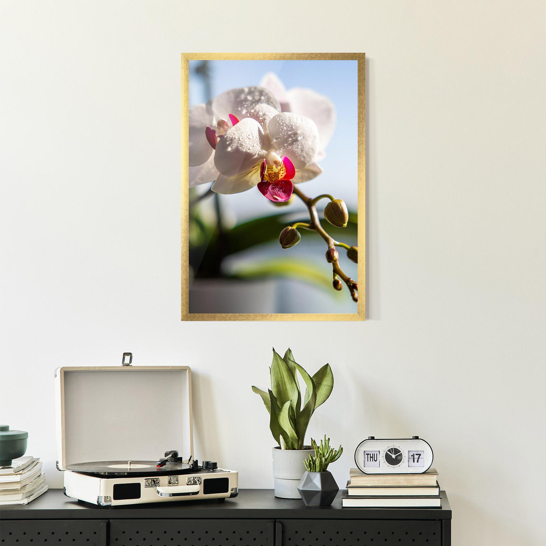 Gerahmte Poster White Orchid With Water mockup 2