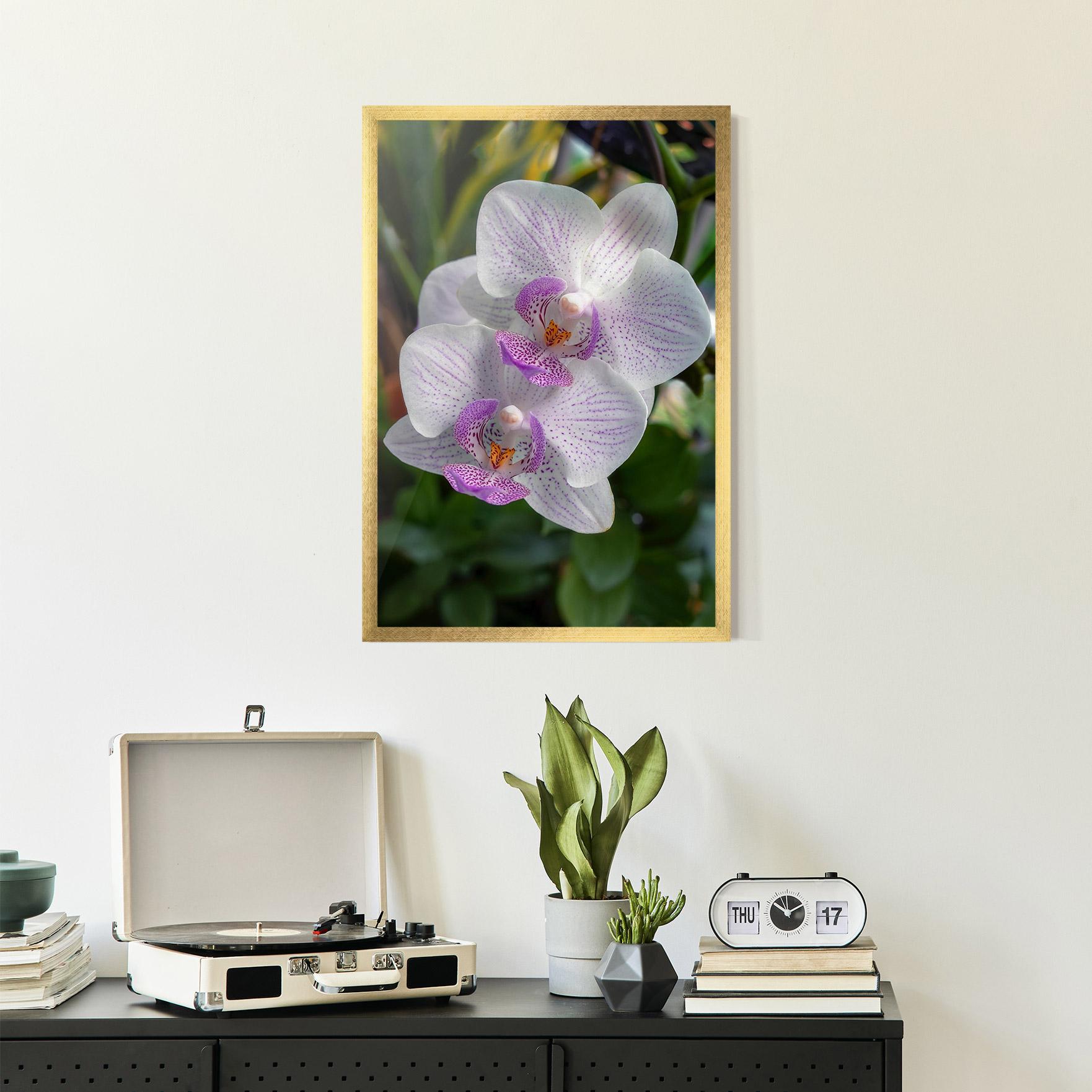 Gerahmte Poster White Orchids mockup 2