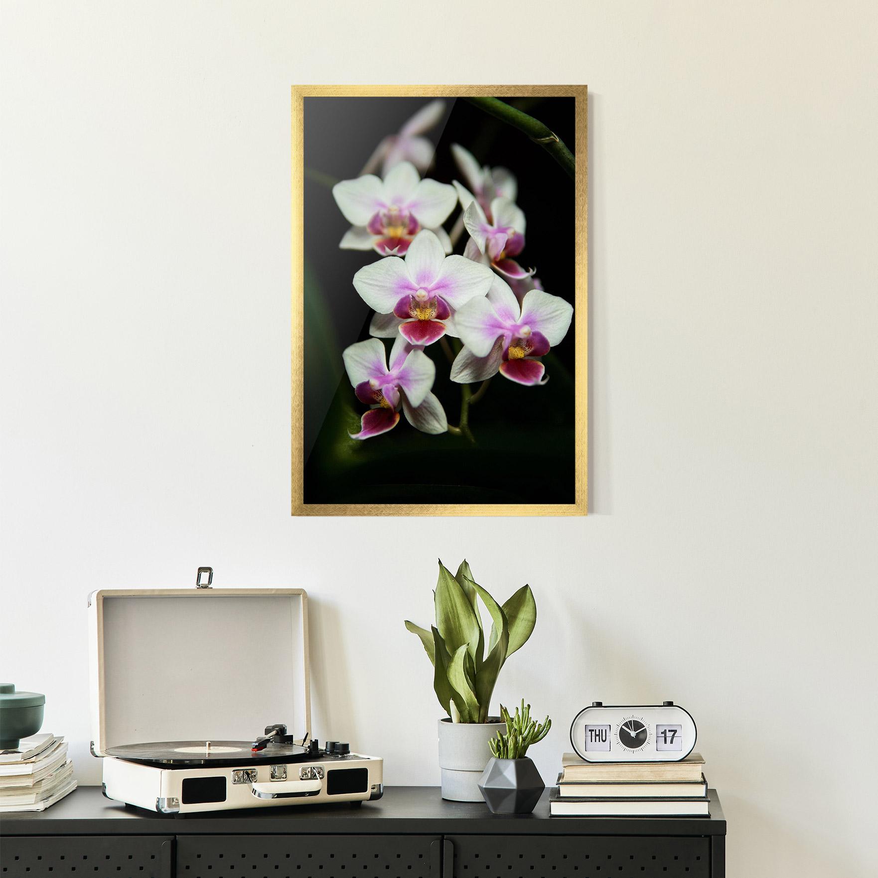 Gerahmte Poster Wild White Purple Orchid mockup 2