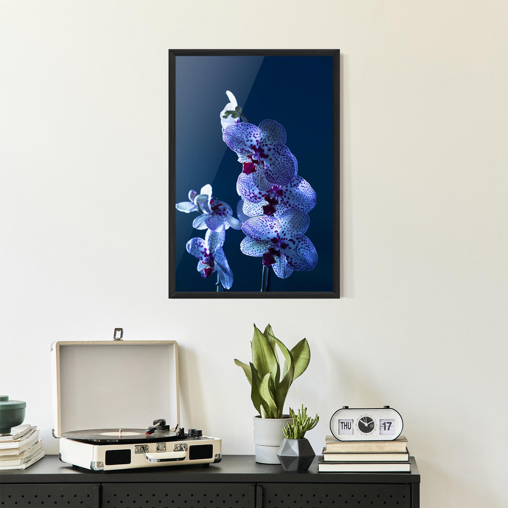 Gerahmte Poster Blue Light Orchid mockup 2
