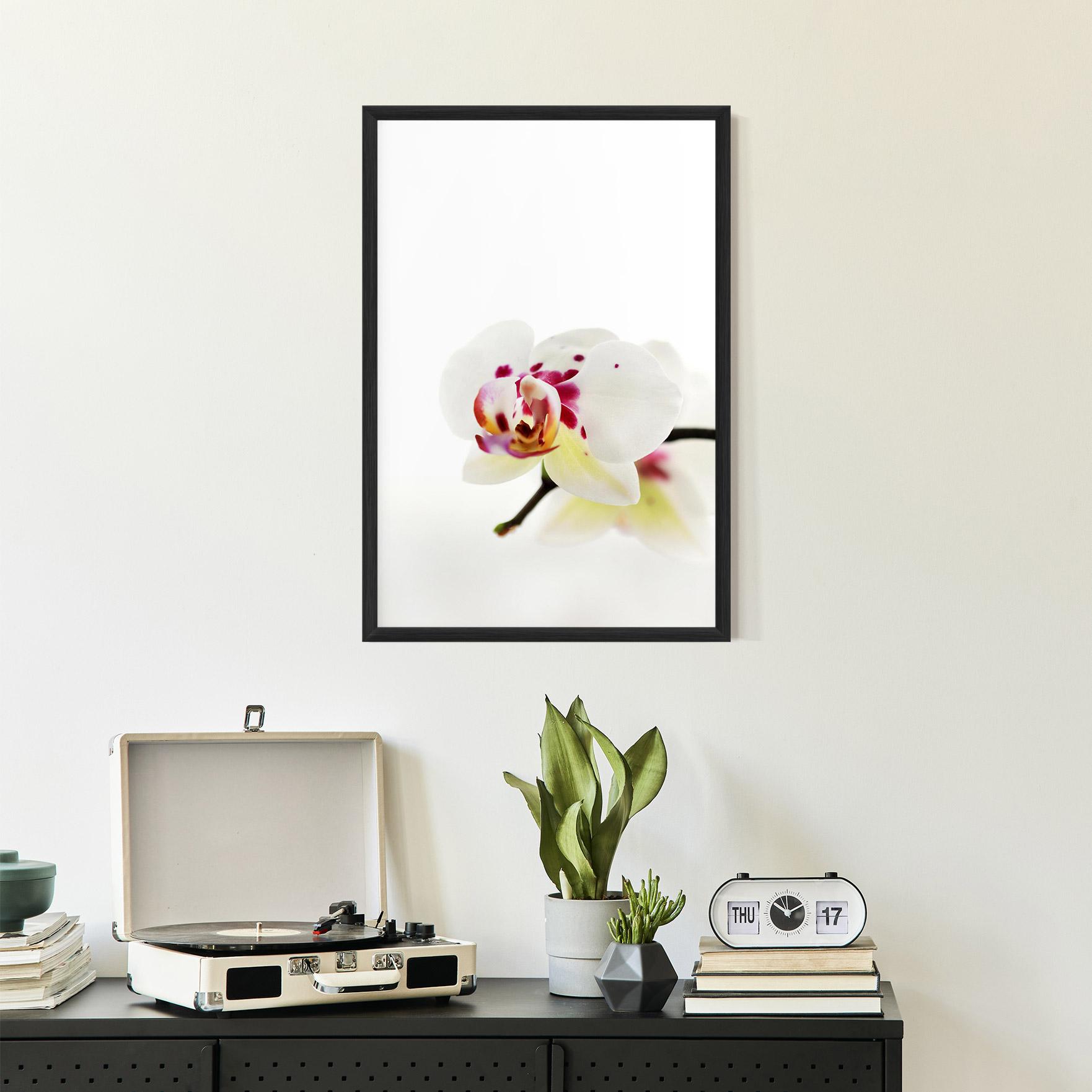 Gerahmte Poster Clean White Orchid mockup 2