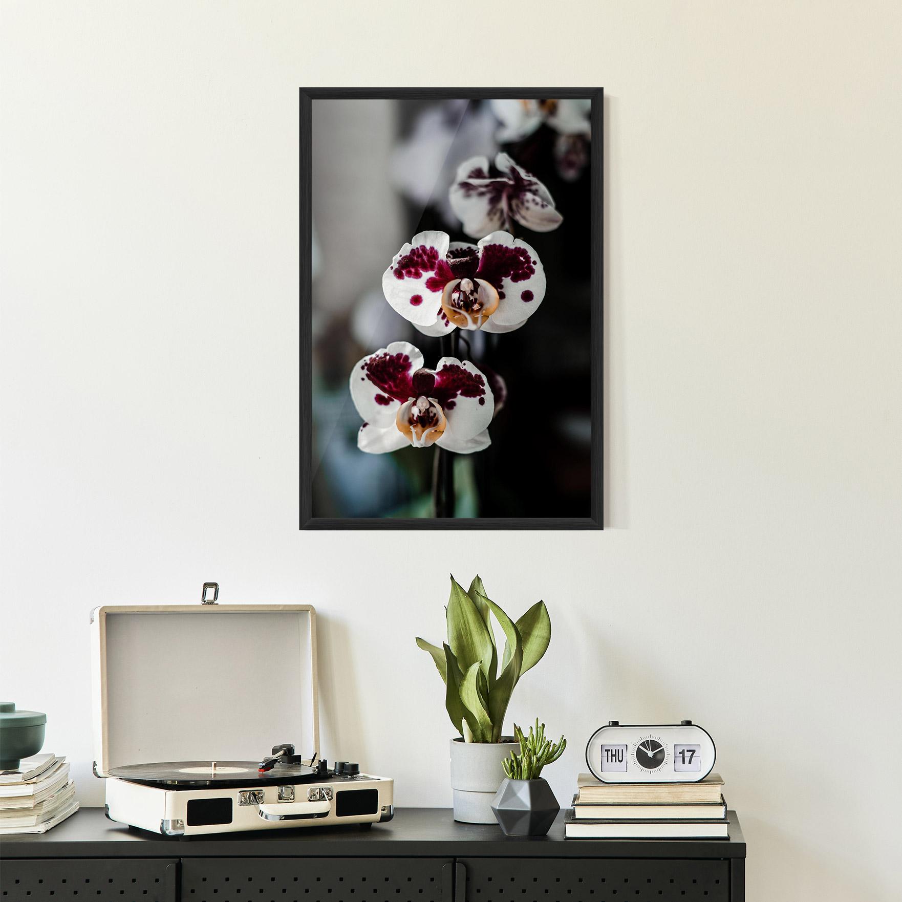 Gerahmte Poster Dark Purple Orchid mockup 2
