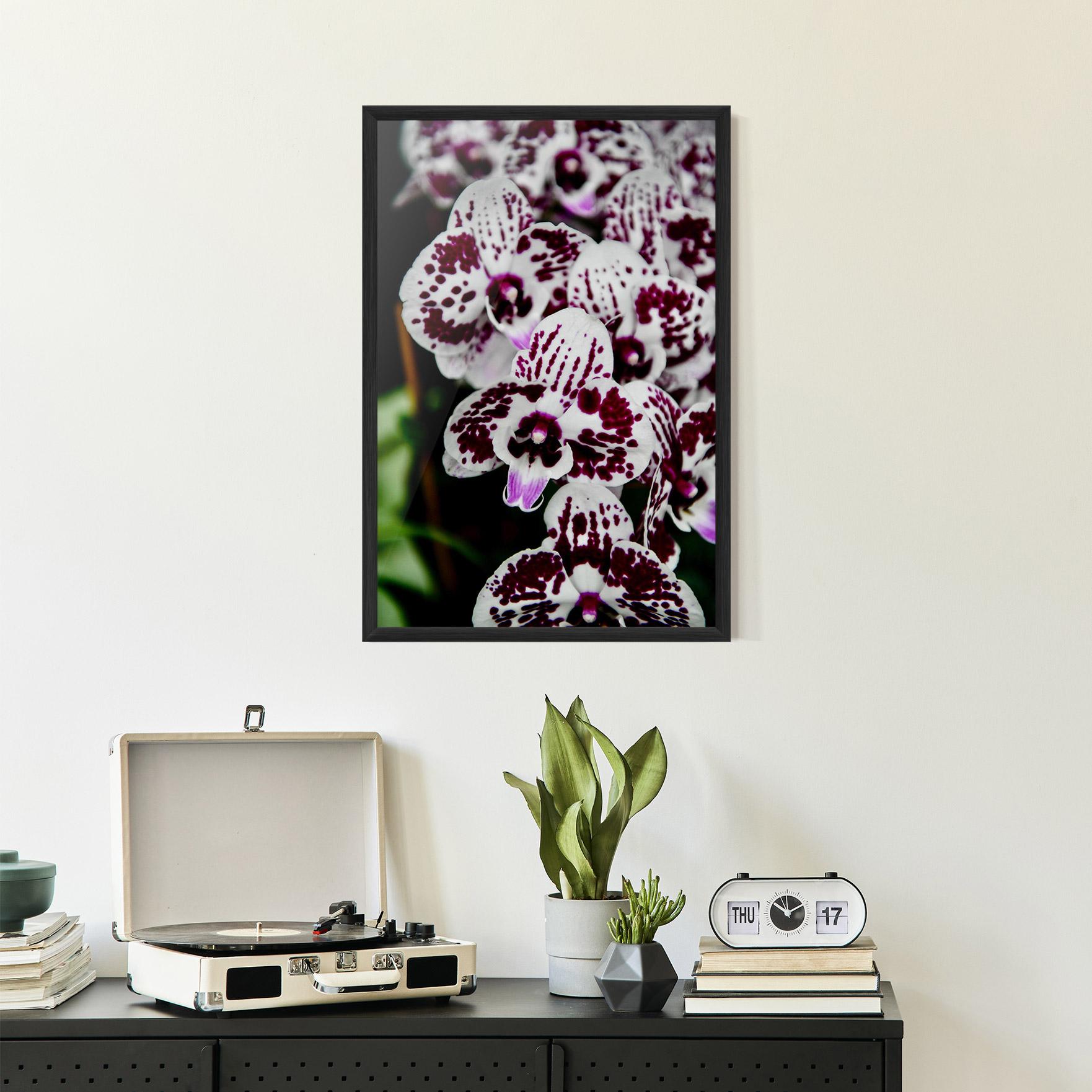 Gerahmte Poster Dark Purple Orchids mockup 2