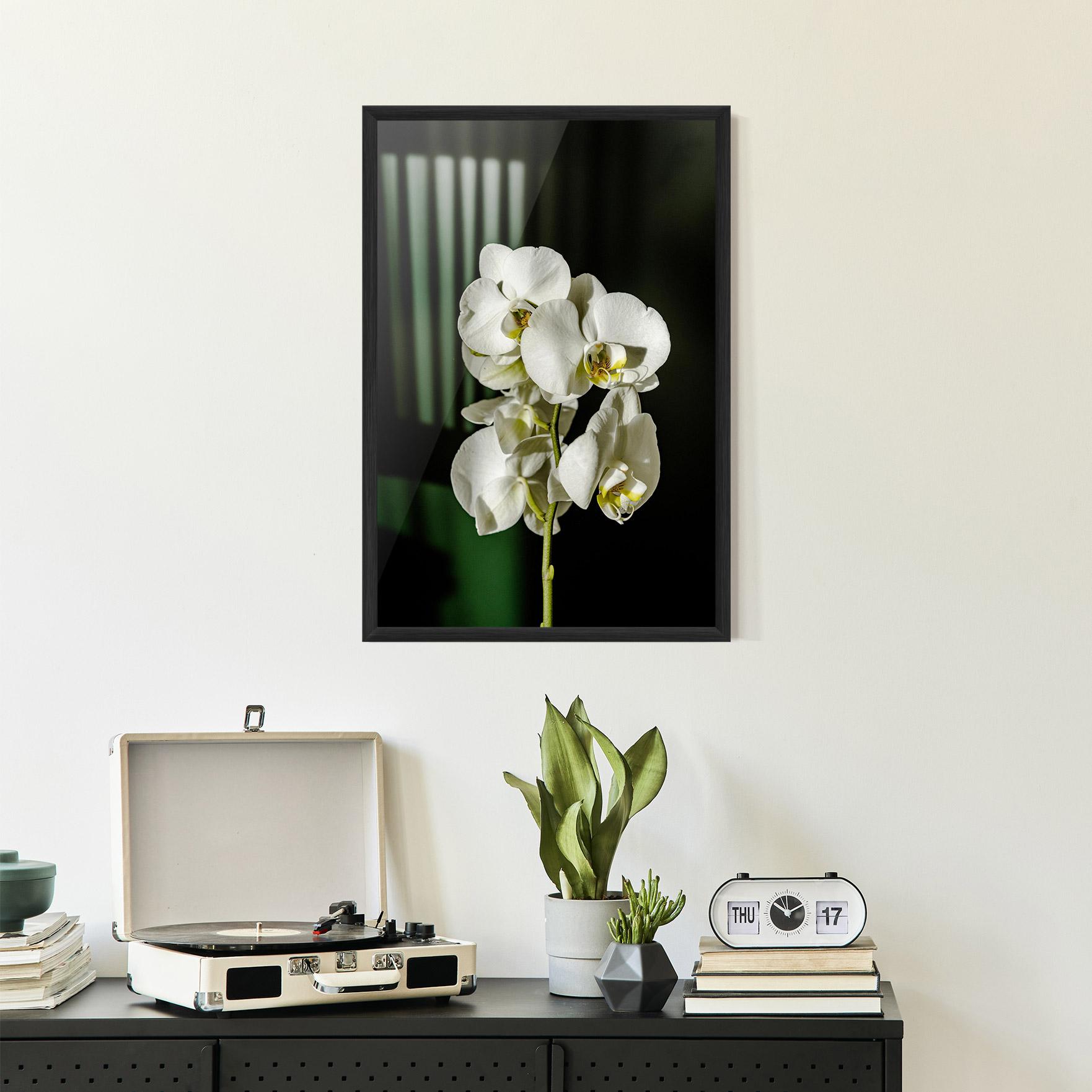 Gerahmte Poster Orchid On Green mockup 2