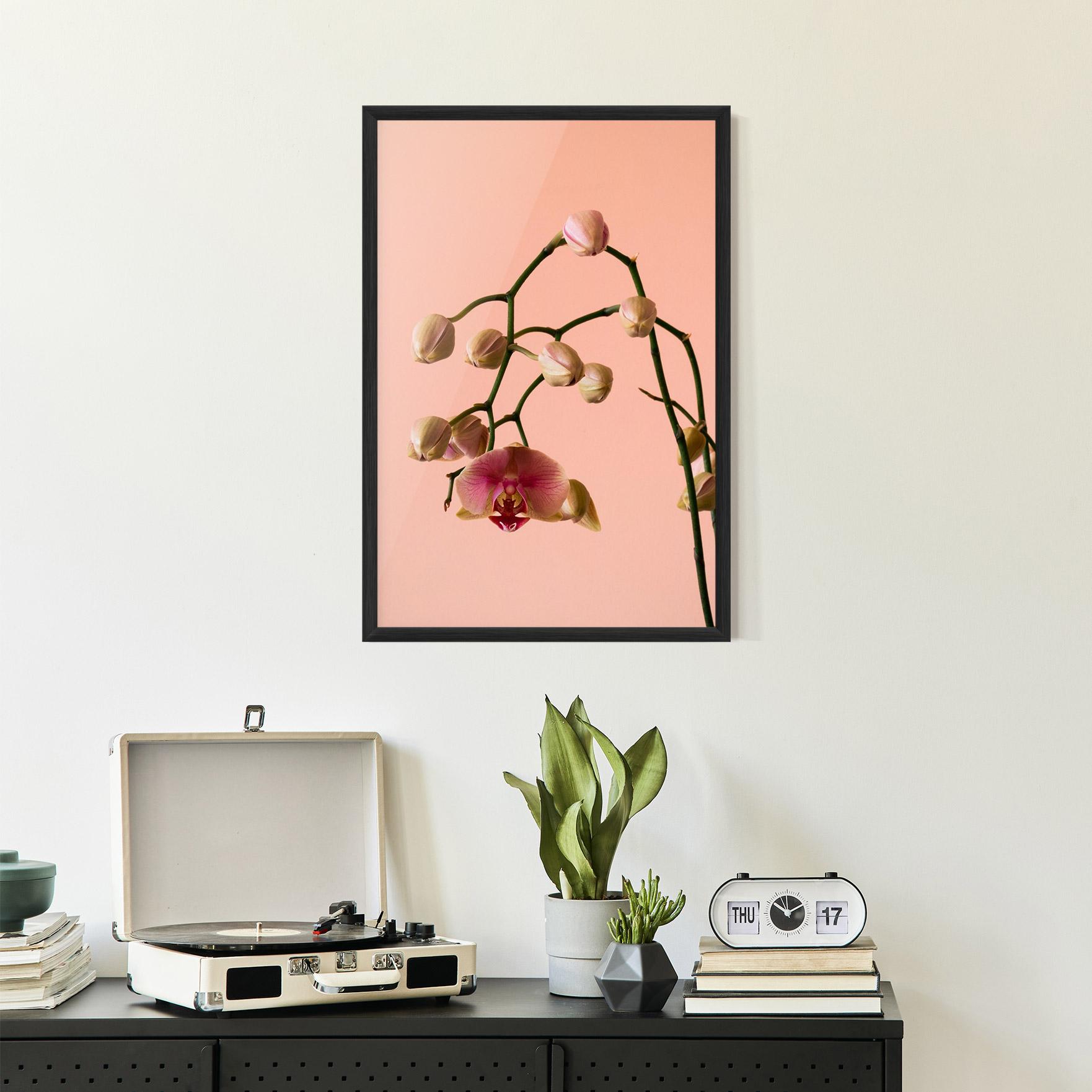 Gerahmte Poster Orchids On Pink mockup 2