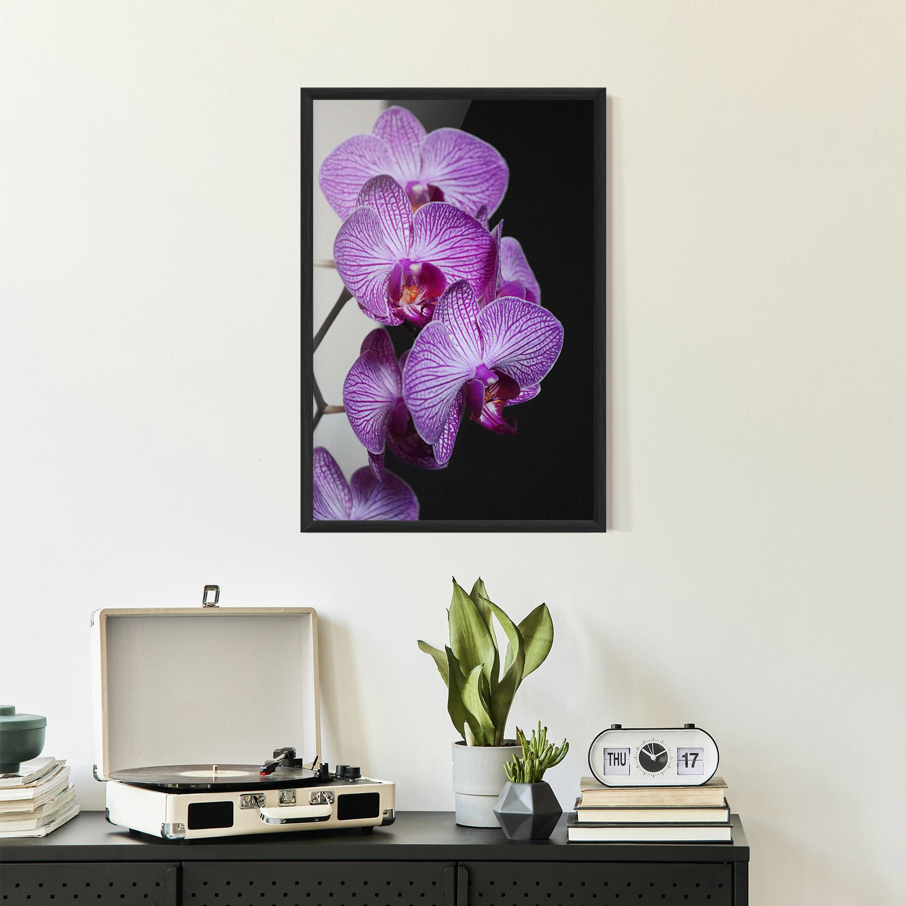 Gerahmte Poster Purple Orchid On Black mockup 2