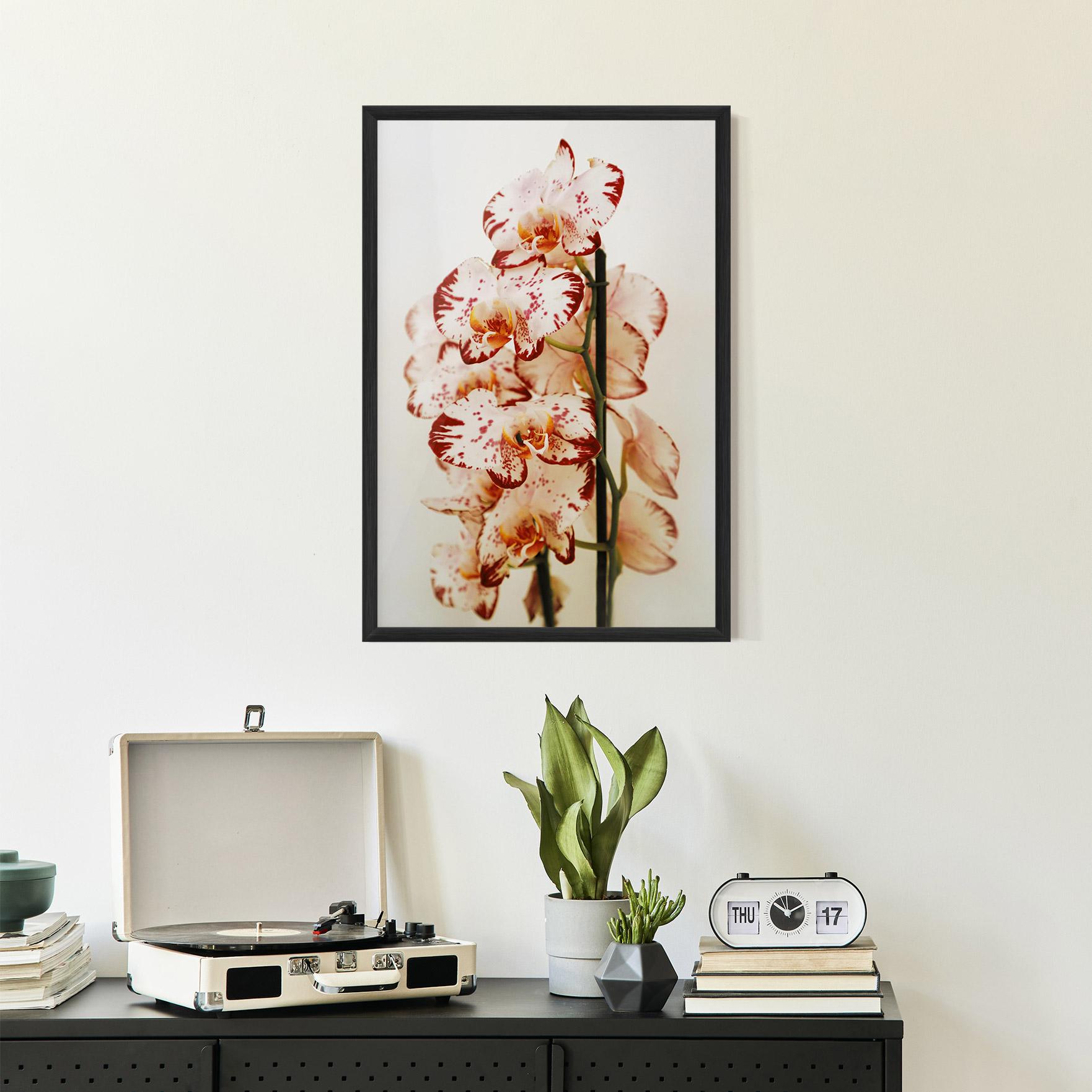 Gerahmte Poster Red White Orchids mockup 2