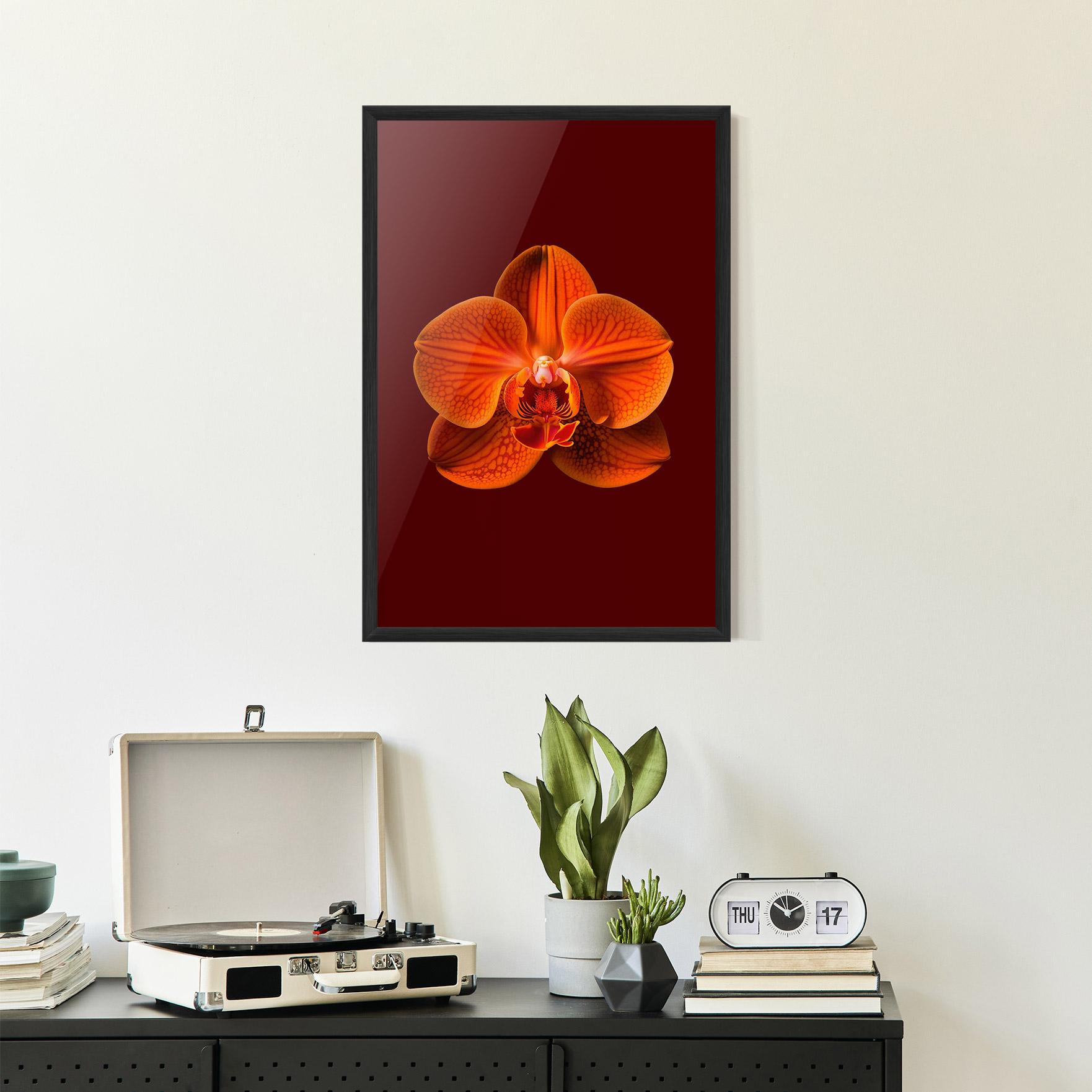 Gerahmte Poster Strong Orange Orchid mockup 2