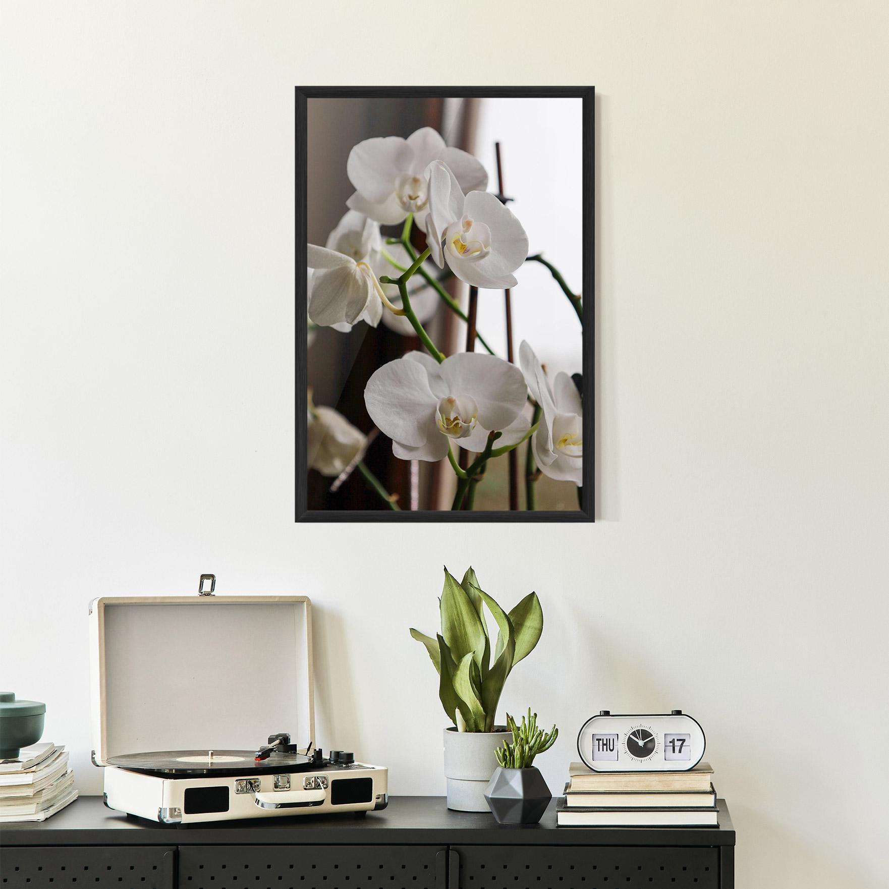 Gerahmte Poster White Orchid Growing mockup 2