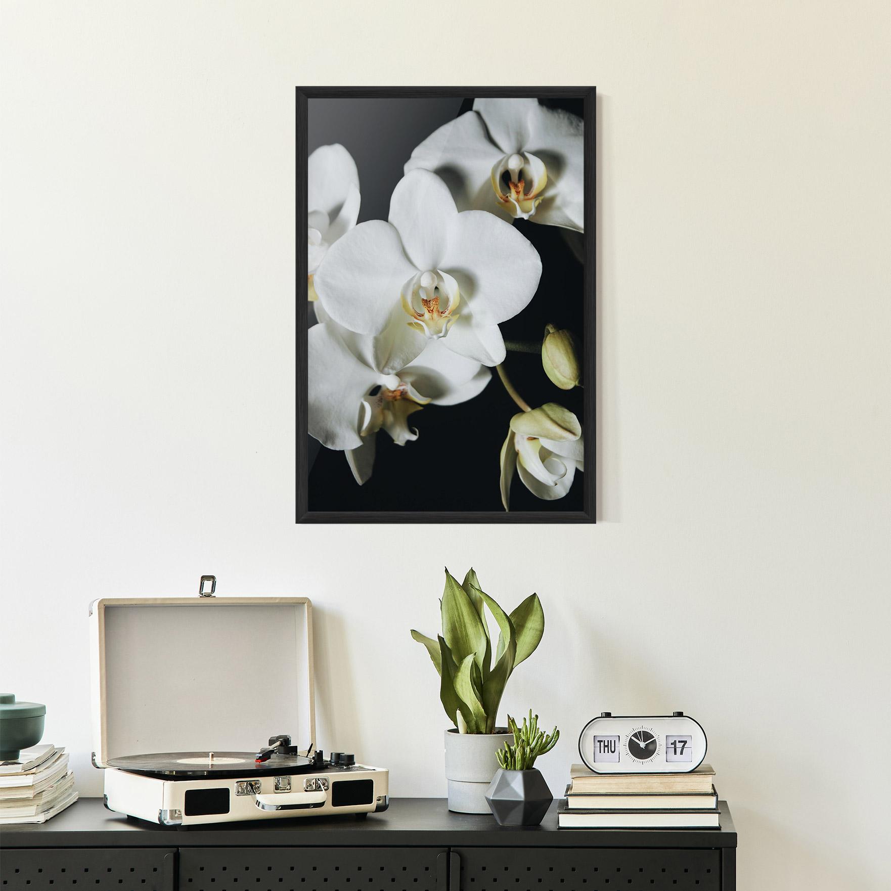 Gerahmte Poster White Orchid On Black mockup 2