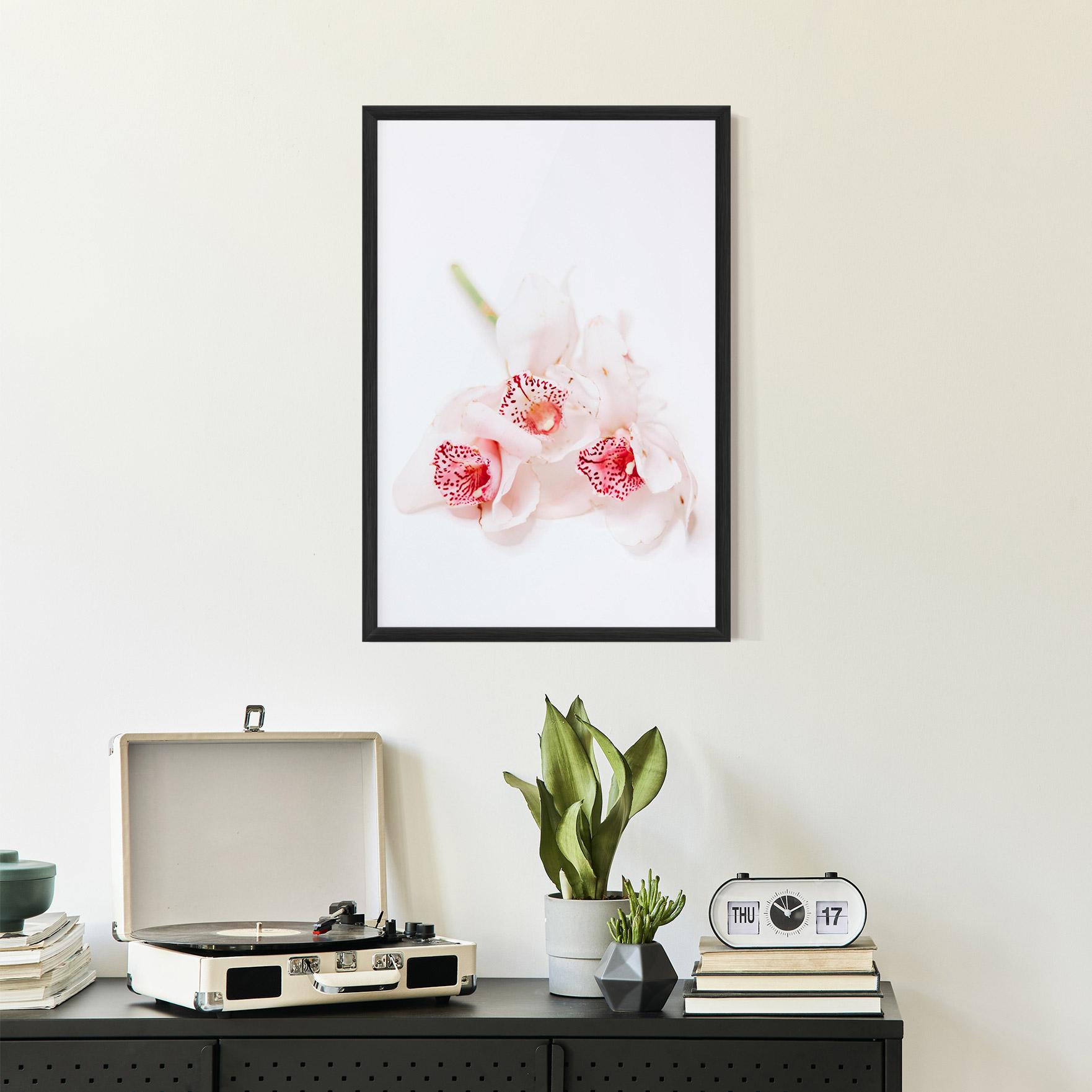 Gerahmte Poster White Orchid With Pink mockup 2