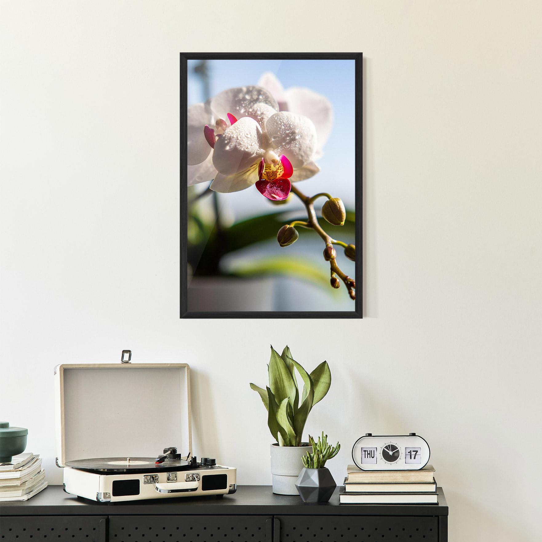 Gerahmte Poster White Orchid With Water mockup 2