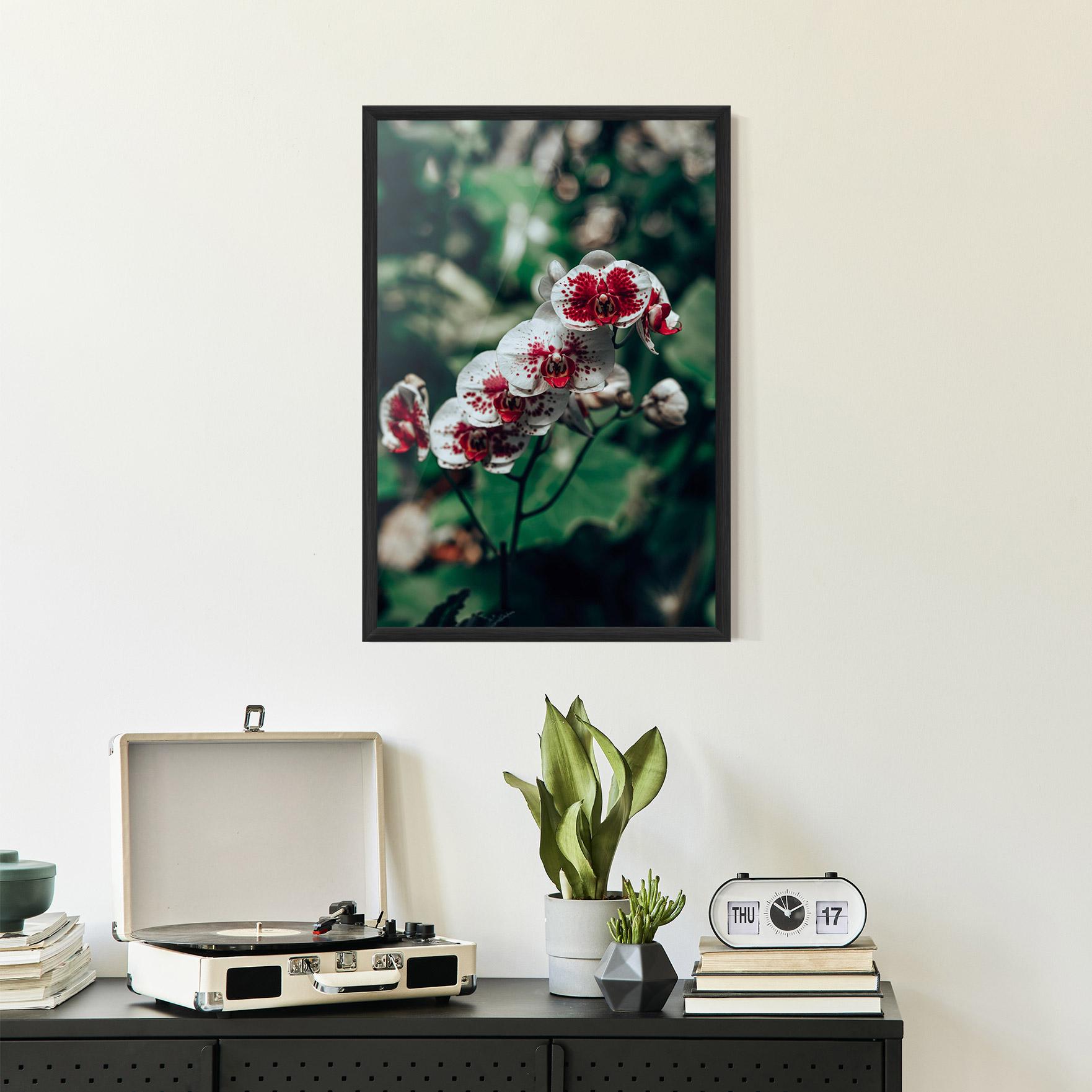 Gerahmte Poster White Red Orchid mockup 2
