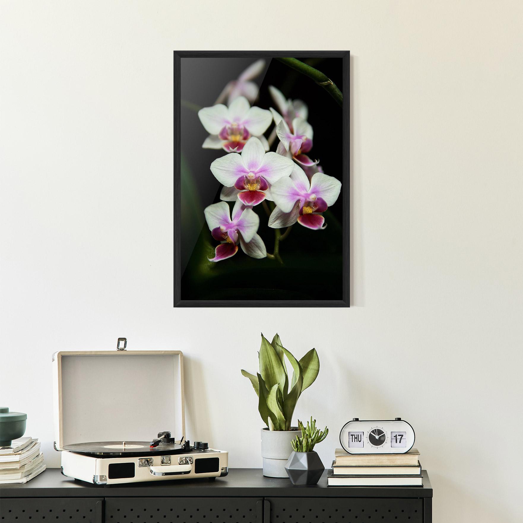 Gerahmte Poster Wild White Purple Orchid mockup 2