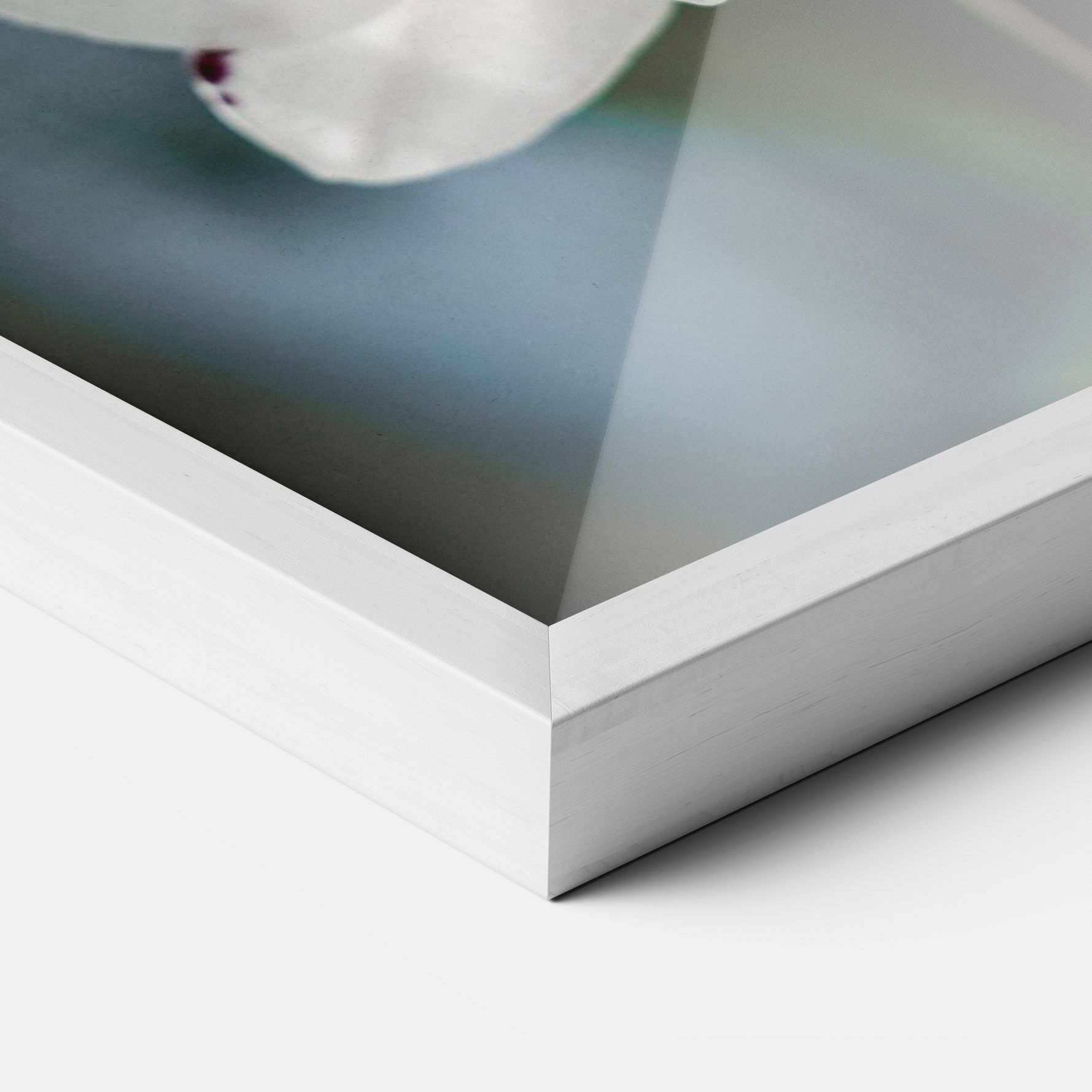 Dark Purple Orchid mockup 3