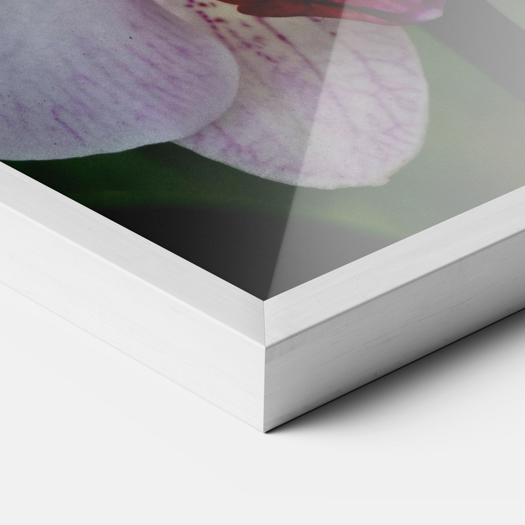 Garden Light Purple Orchid mockup 3