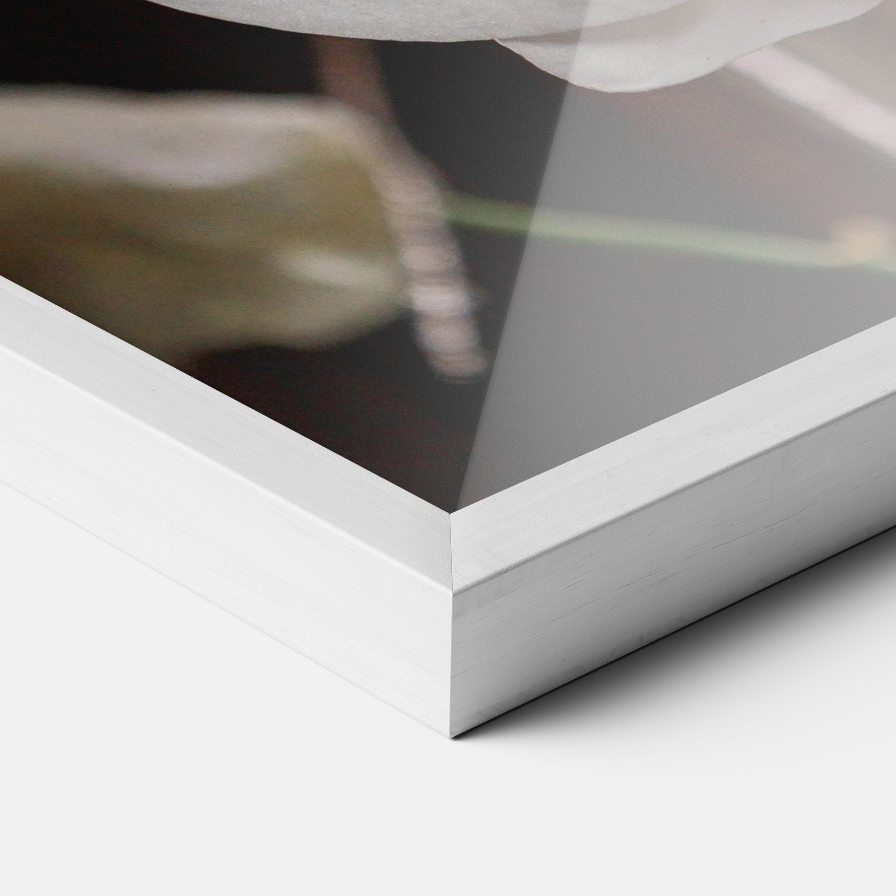 White Orchid Growing mockup 3