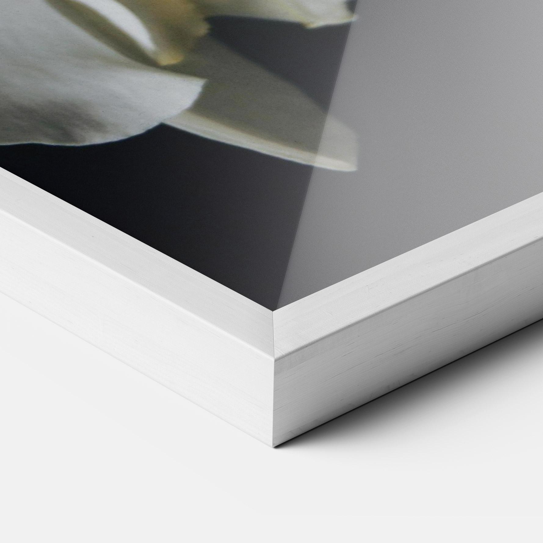 Gerahmte Poster White Orchid On Black mockup 3