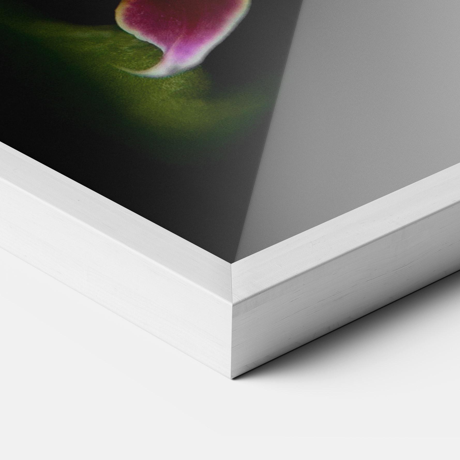 Gerahmte Poster Wild White Purple Orchid mockup 3