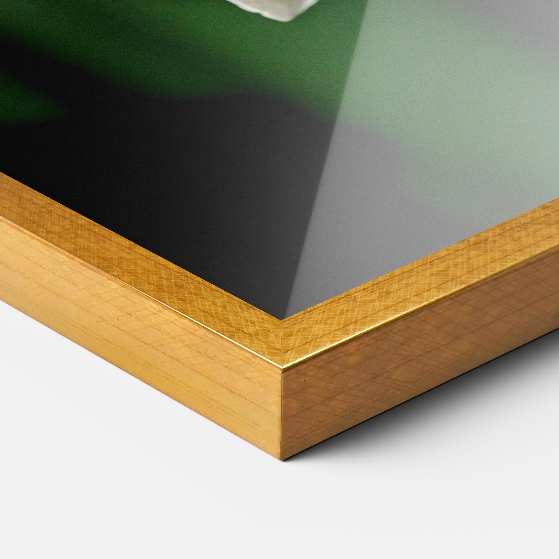 Gerahmte Poster Orchid On Green mockup 3