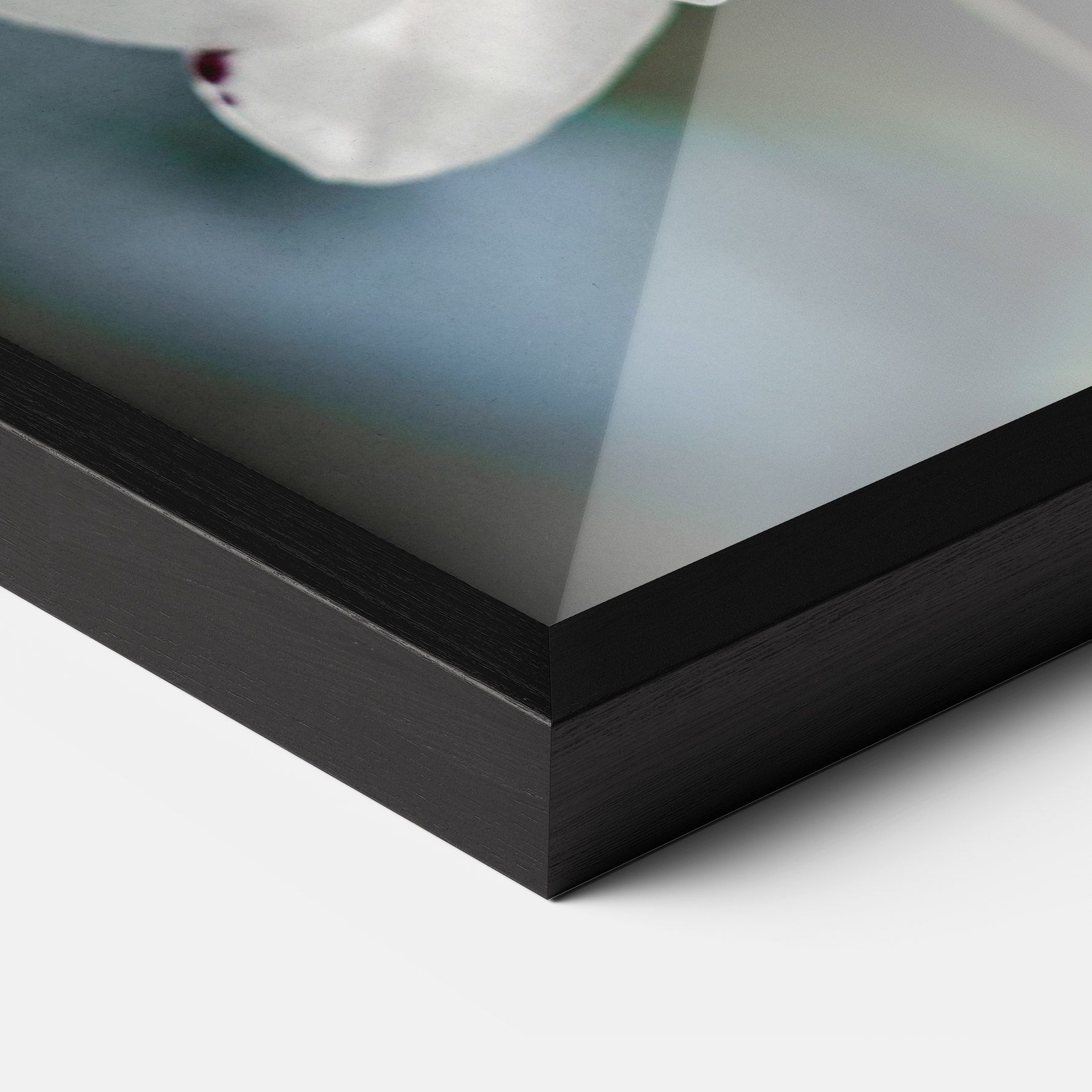 Dark Purple Orchid mockup 3