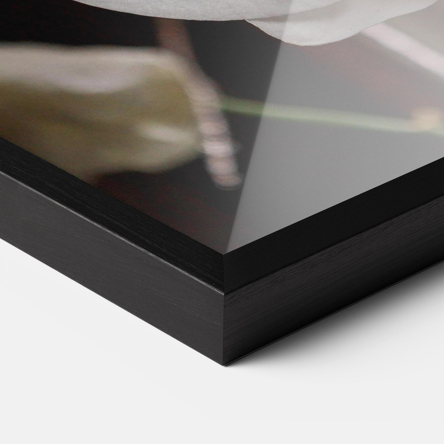 Gerahmte Poster White Orchid Growing mockup 3