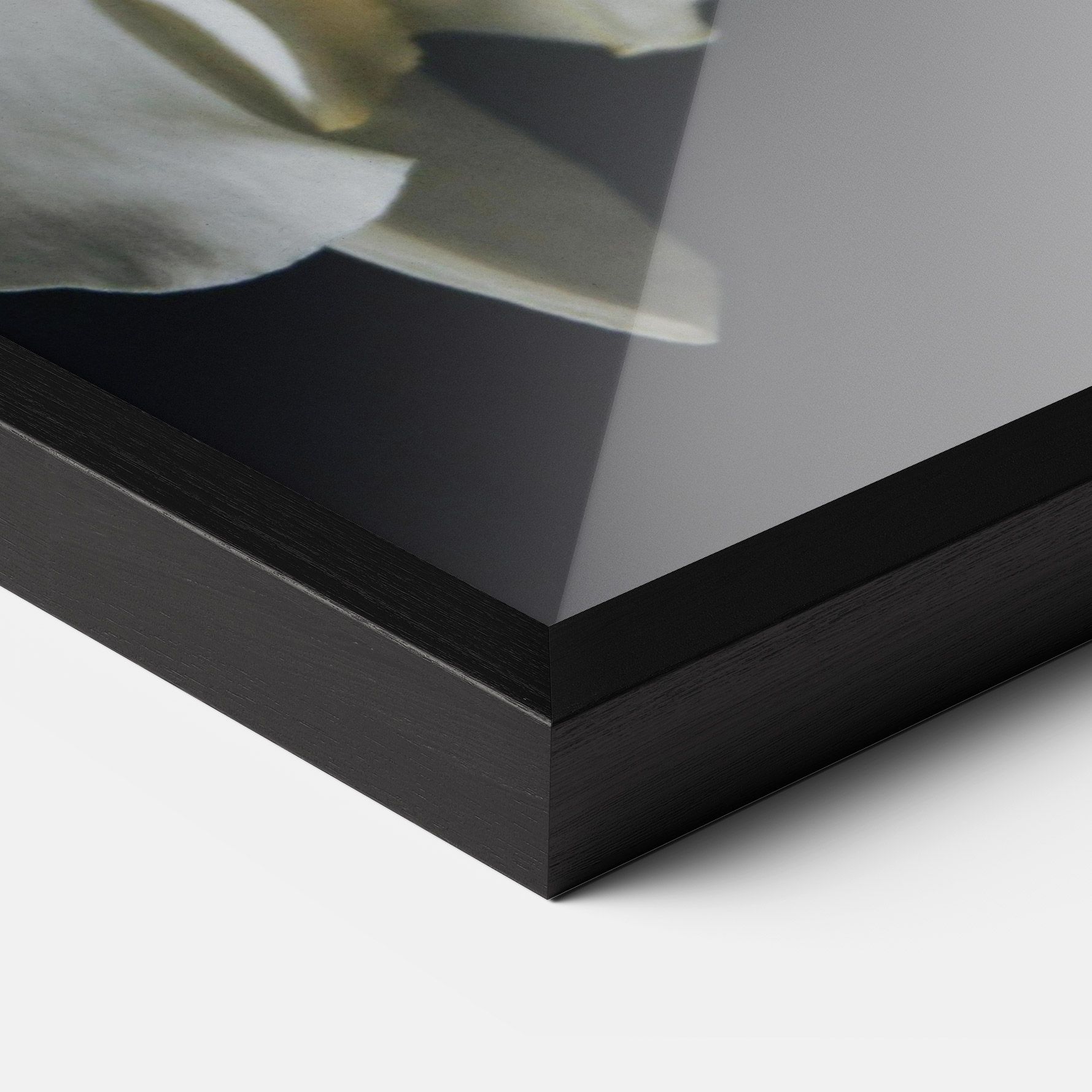 White Orchid On Black mockup 3