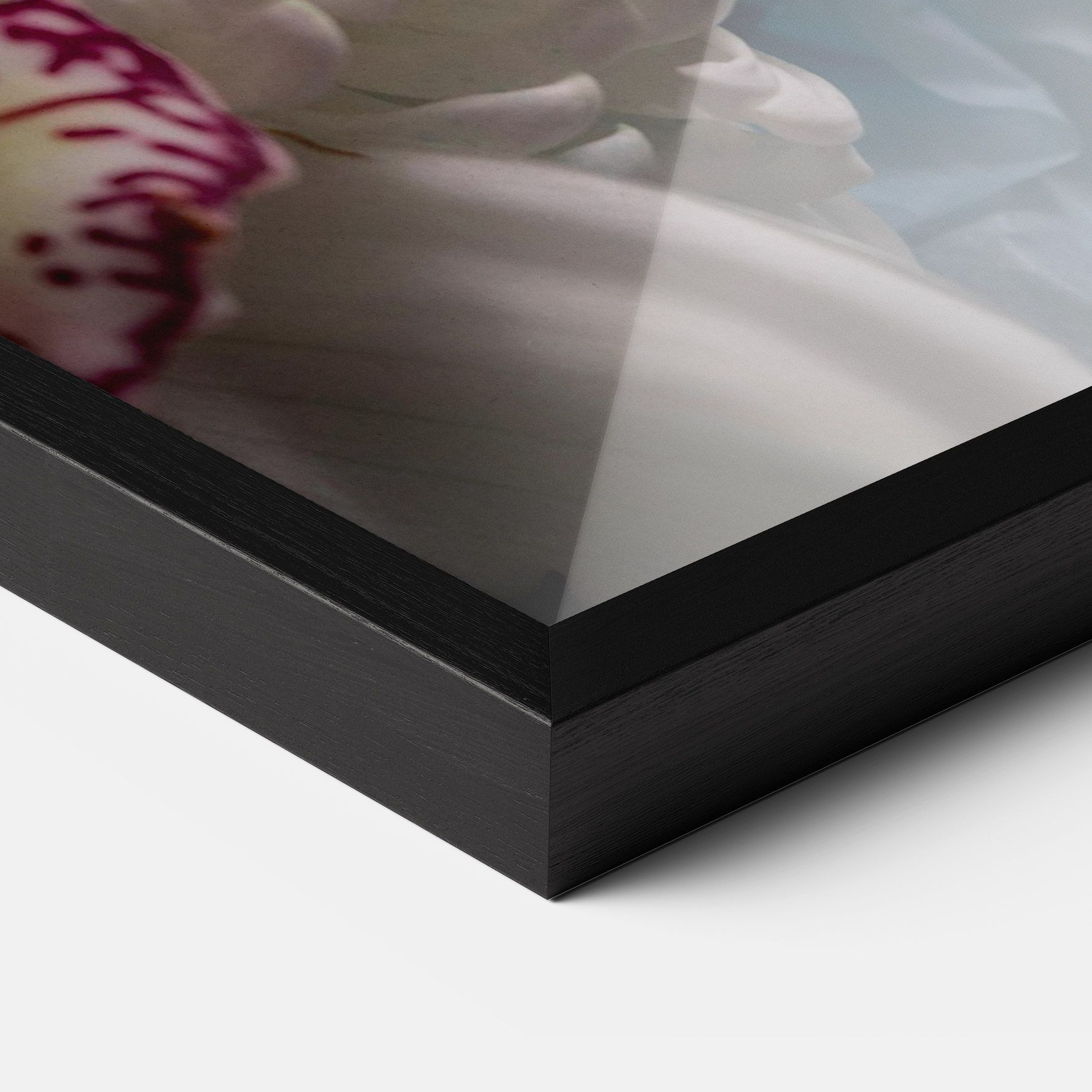 White Orchid With Blue mockup 3