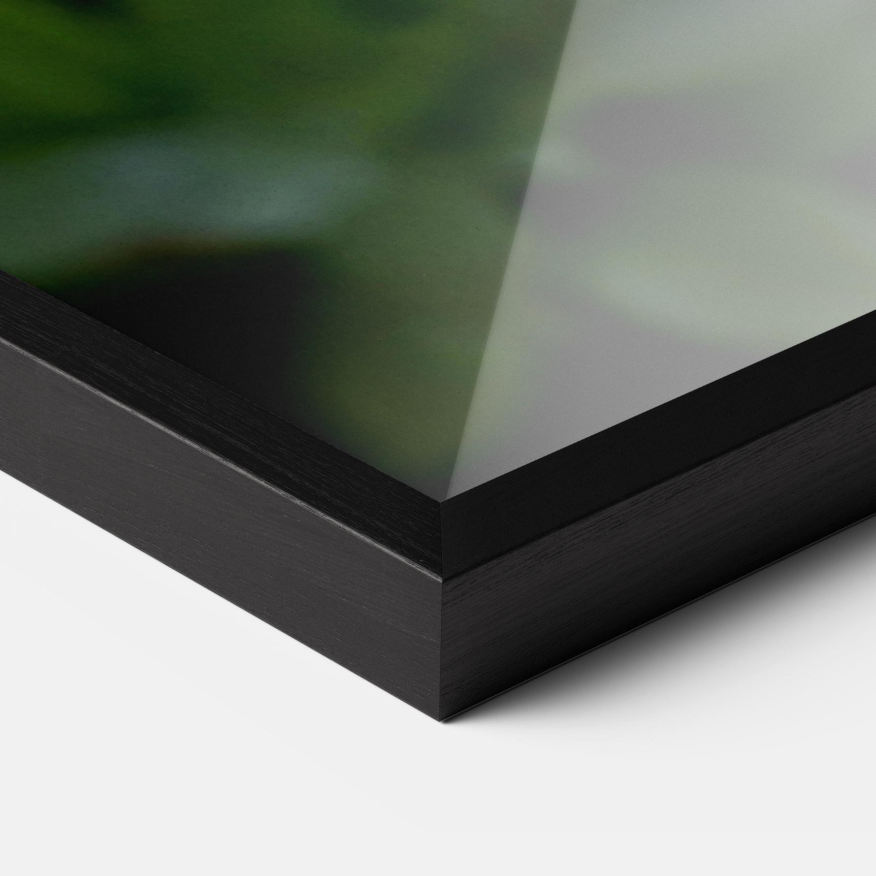 Gerahmte Poster White Orchids mockup 3