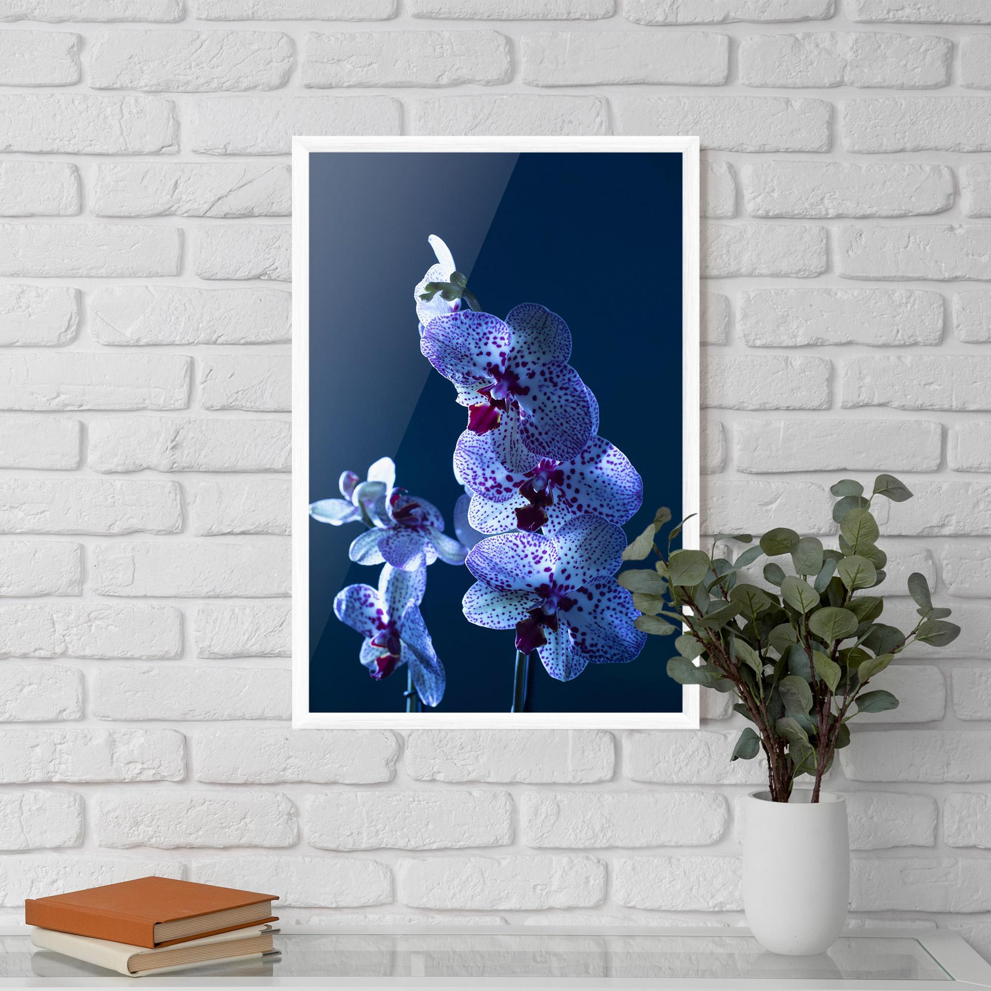 Gerahmte Poster Blue Light Orchid mockup 5