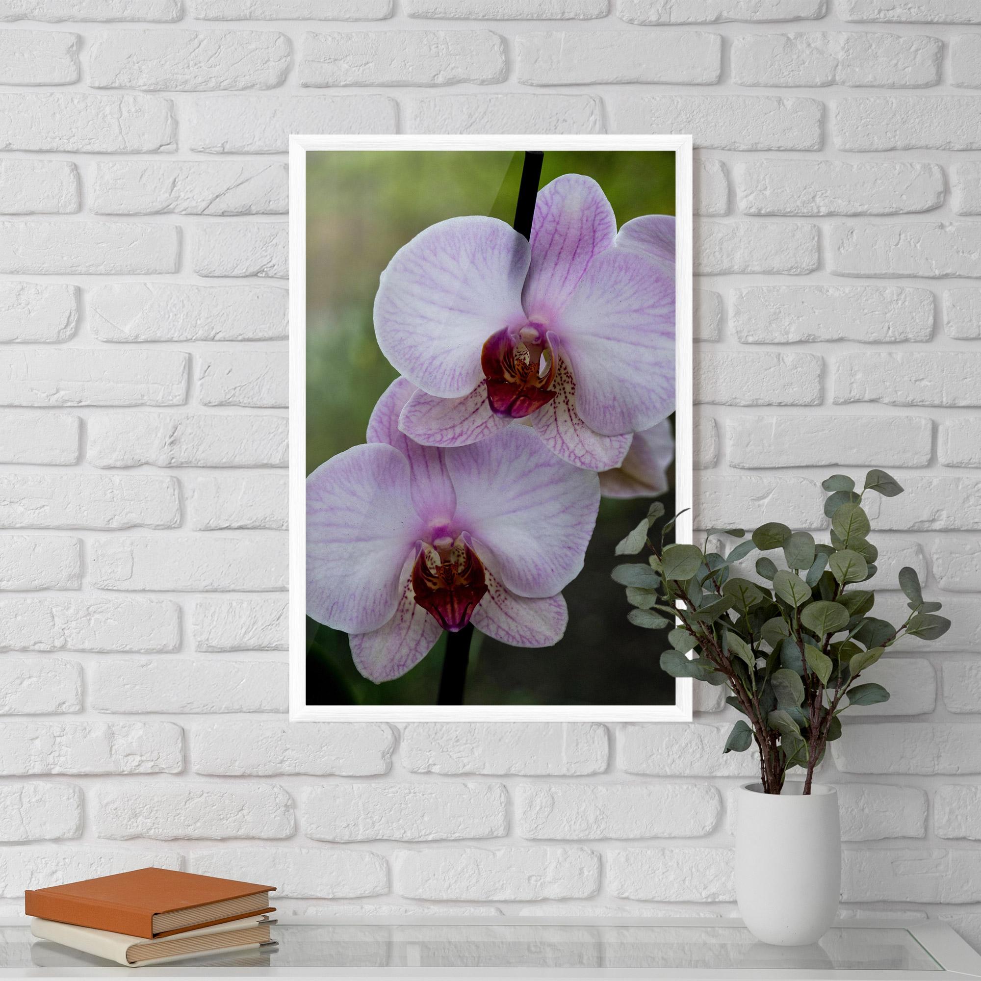 Gerahmte Poster Garden Light Purple Orchid mockup 5