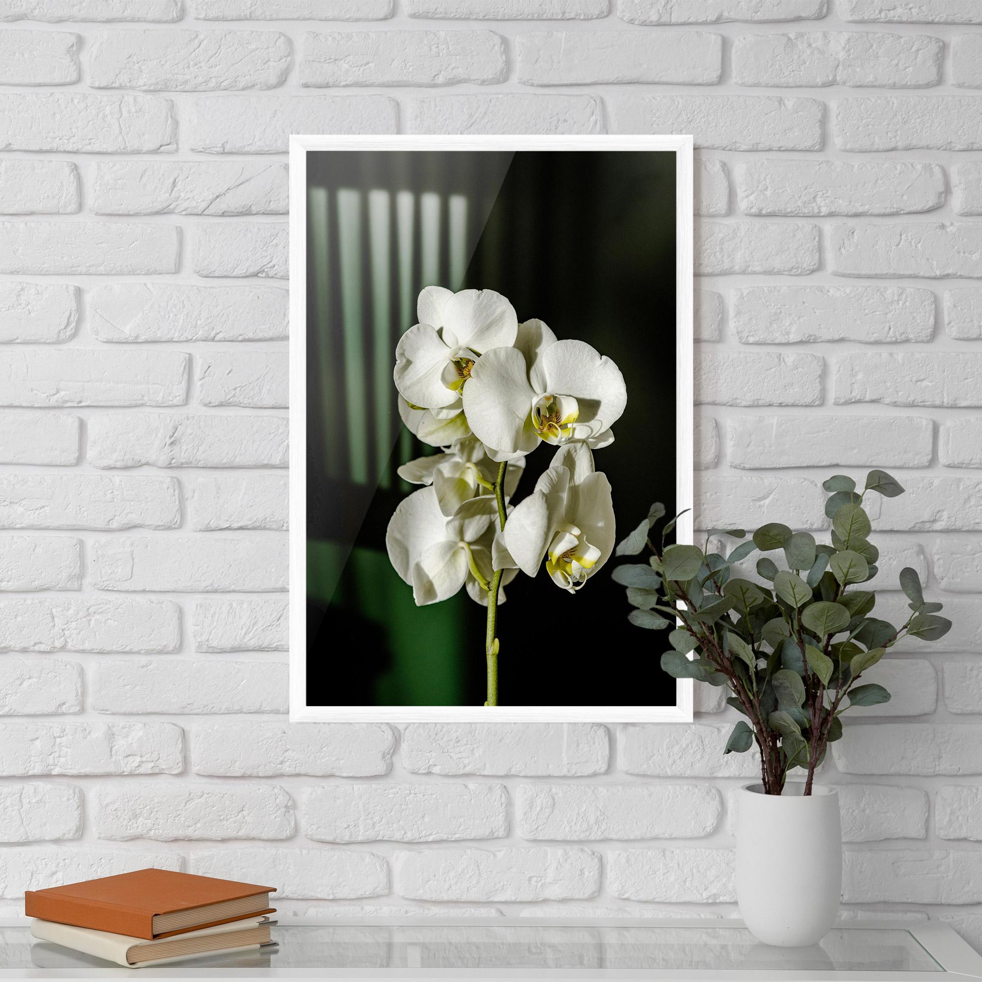 Gerahmte Poster Orchid On Green mockup 5