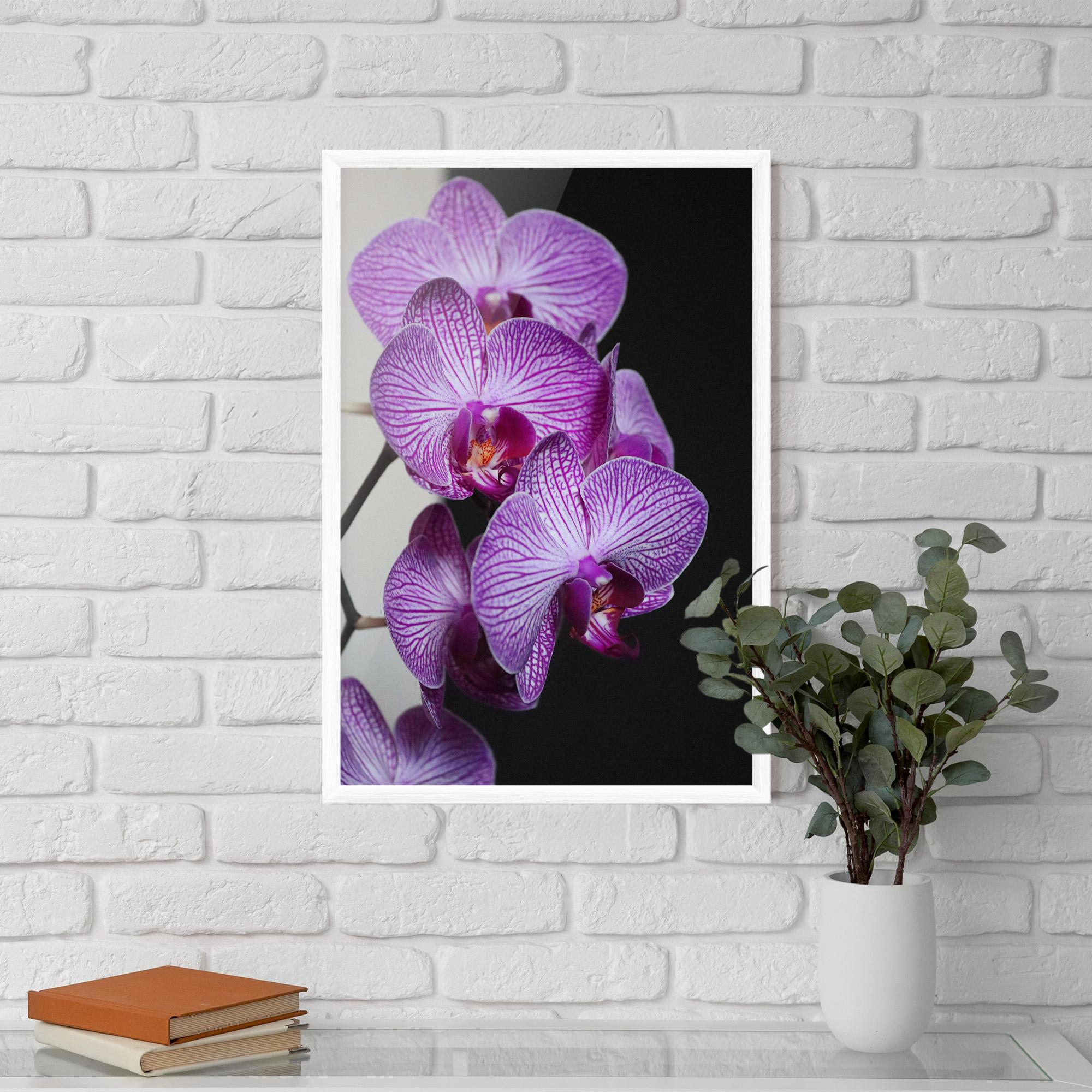 Gerahmte Poster Purple Orchid On Black mockup 5
