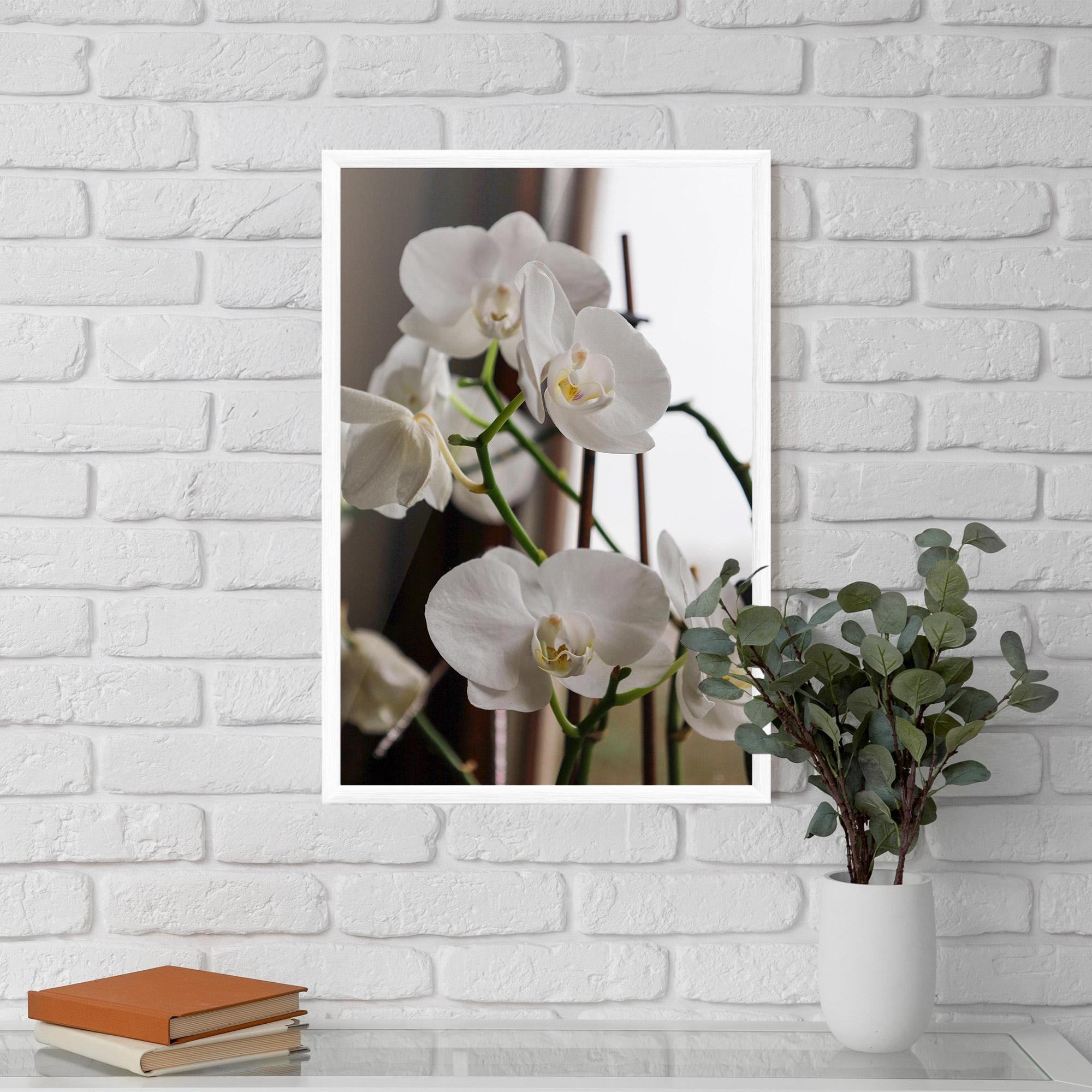 Gerahmte Poster White Orchid Growing mockup 5