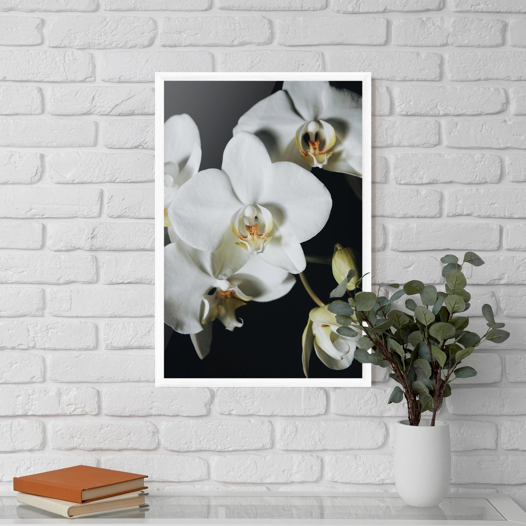 Gerahmte Poster White Orchid On Black mockup 5