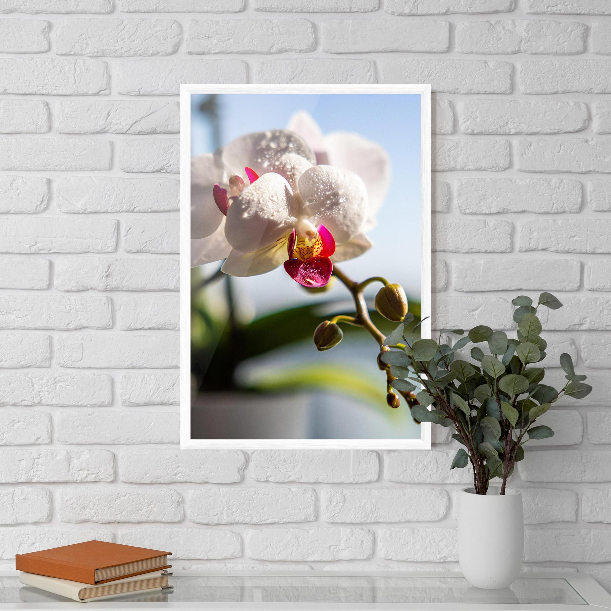 Gerahmte Poster White Orchid With Water mockup 5