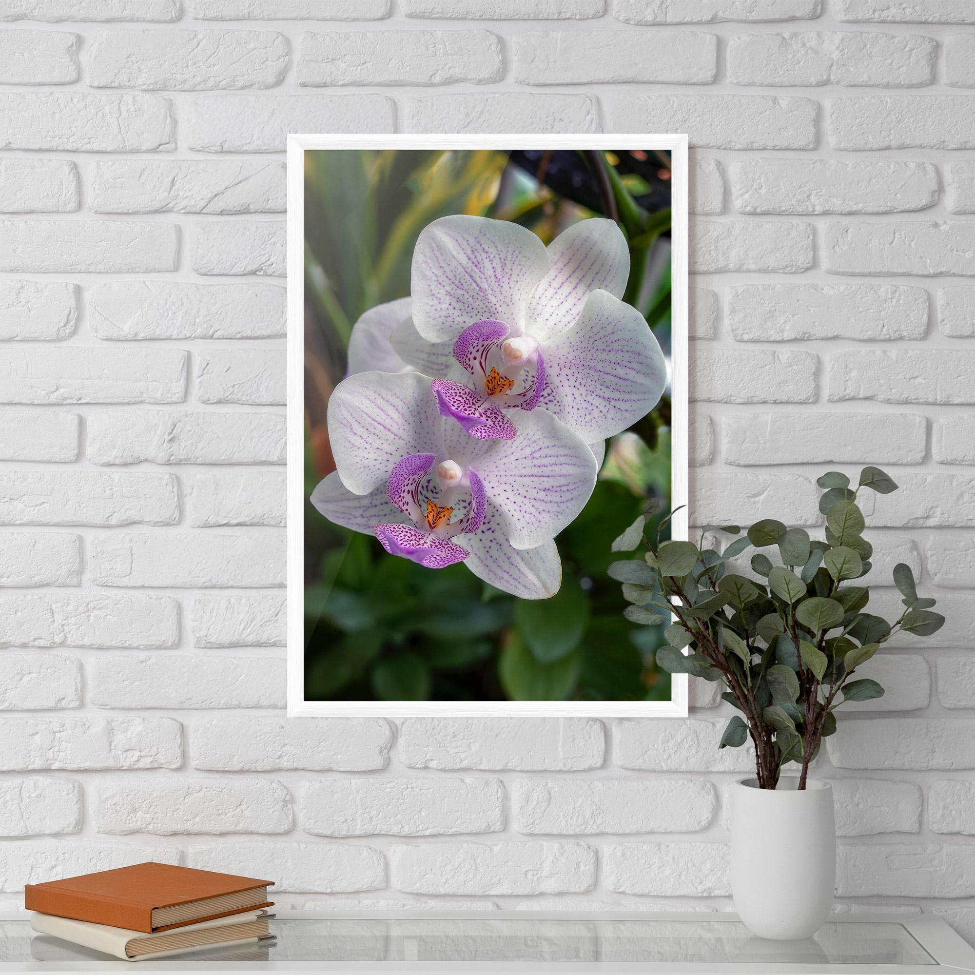 Gerahmte Poster White Orchids mockup 5