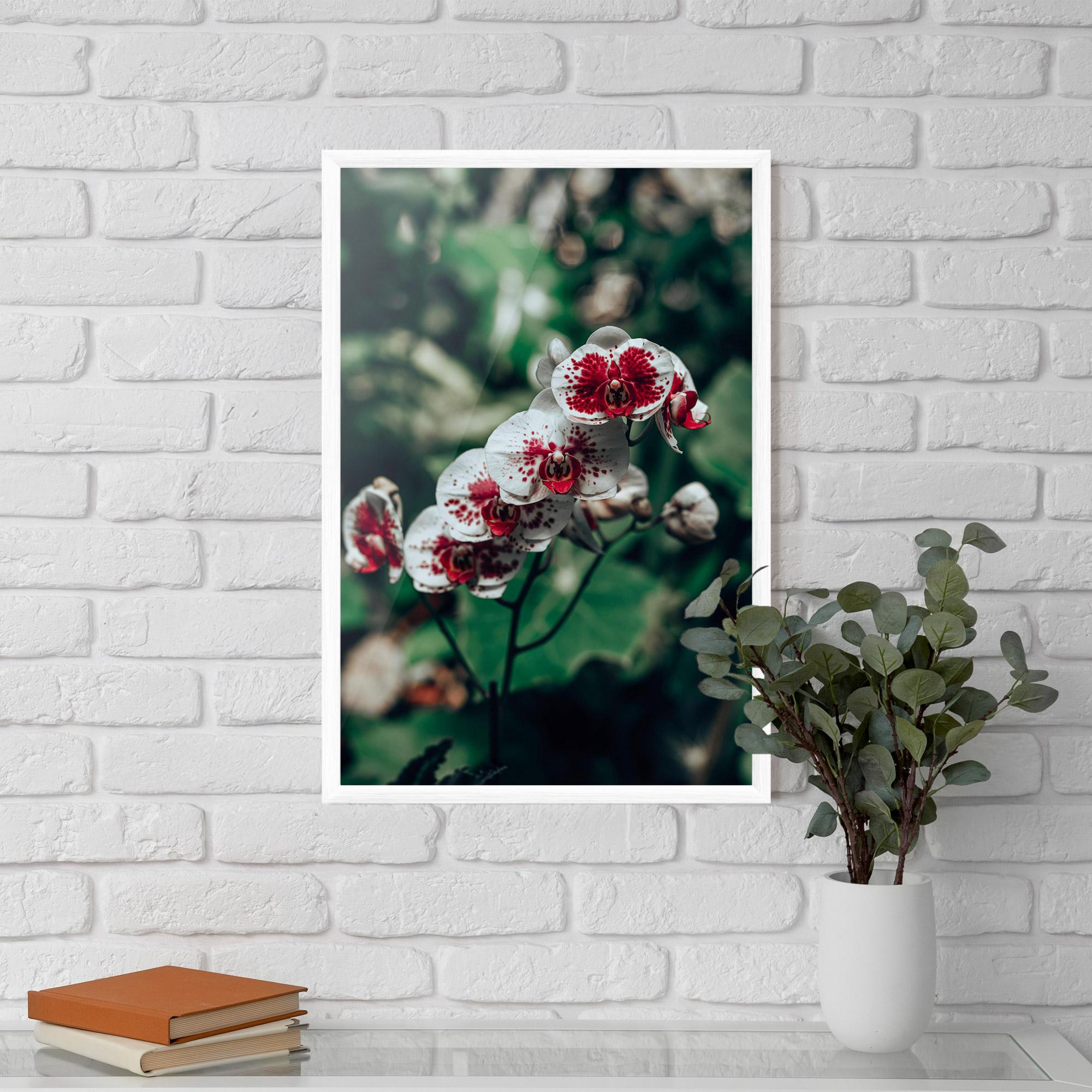 Gerahmte Poster White Red Orchid mockup 5