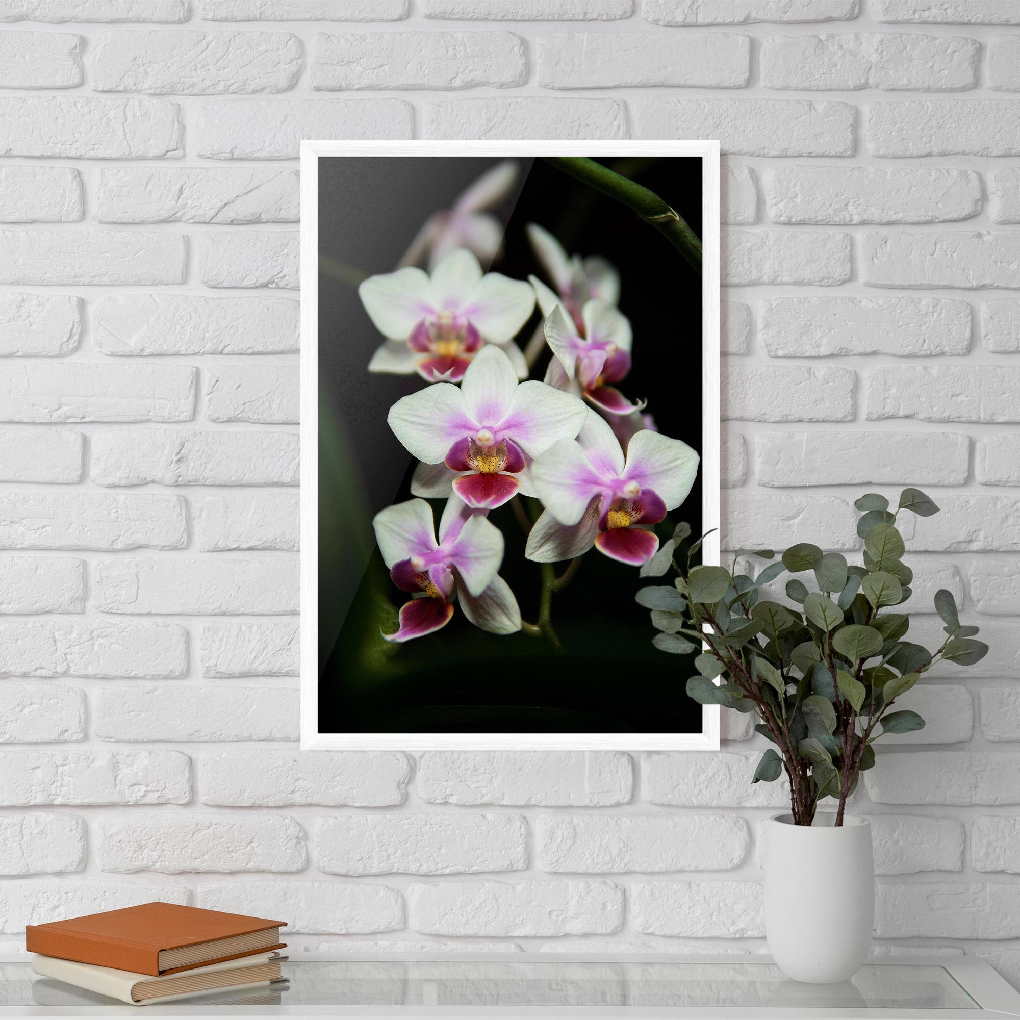 Gerahmte Poster Wild White Purple Orchid mockup 5