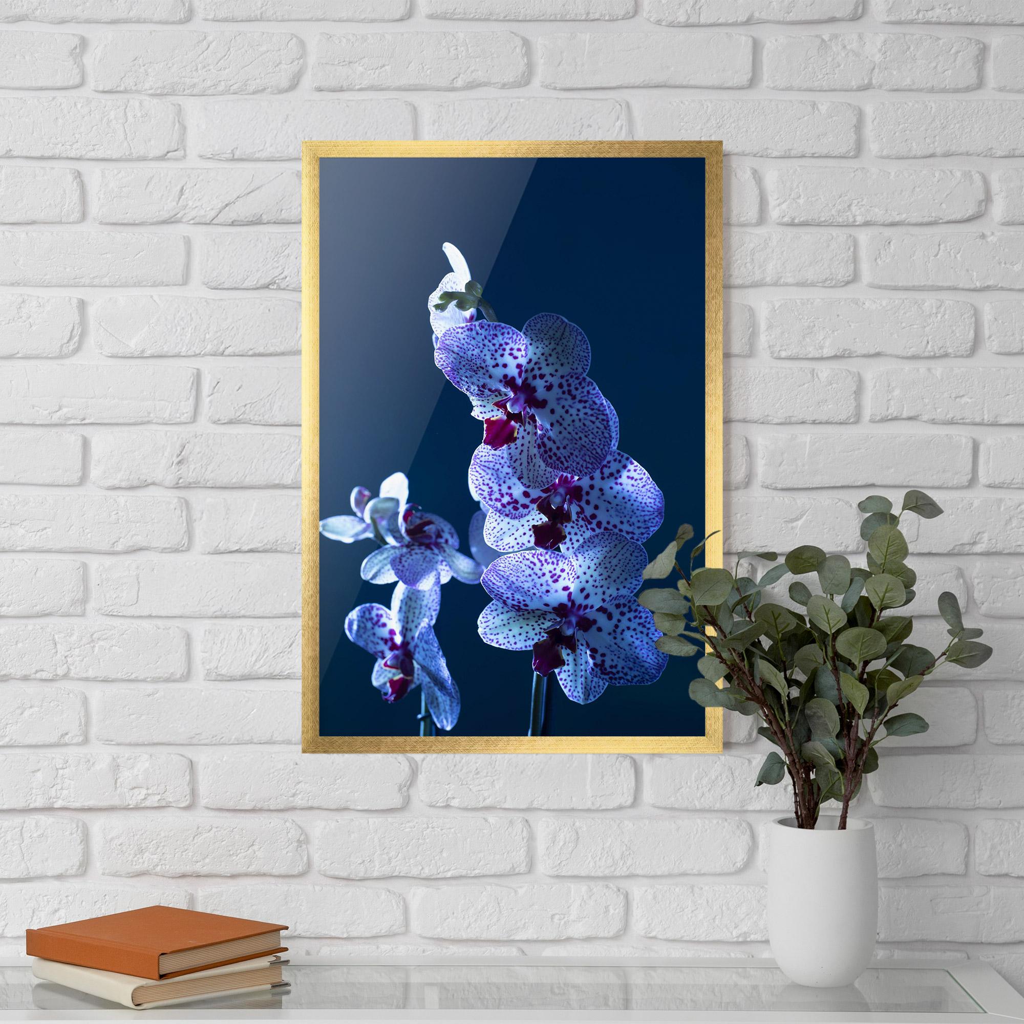 Gerahmte Poster Blue Light Orchid mockup 5