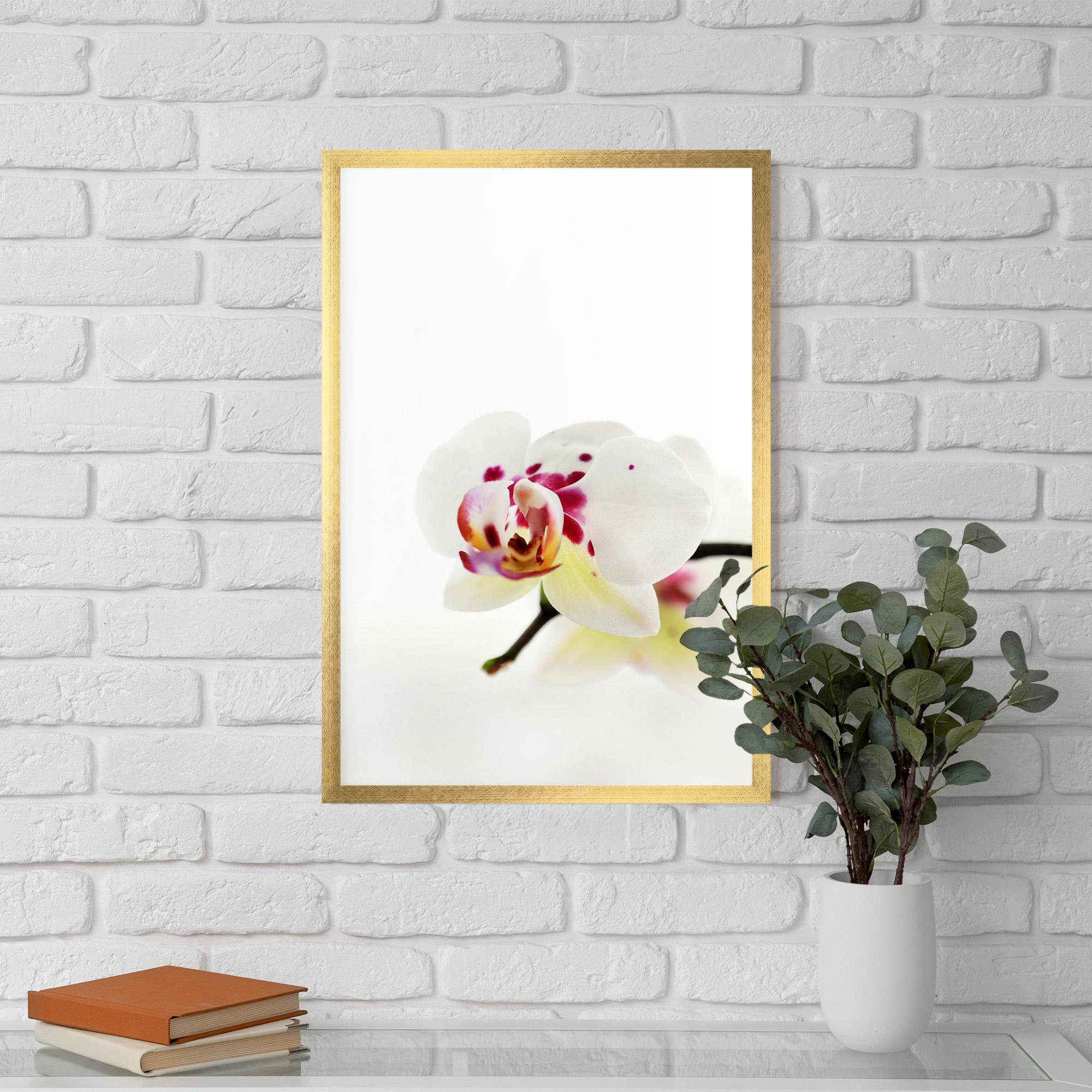 Gerahmte Poster Clean White Orchid mockup 5