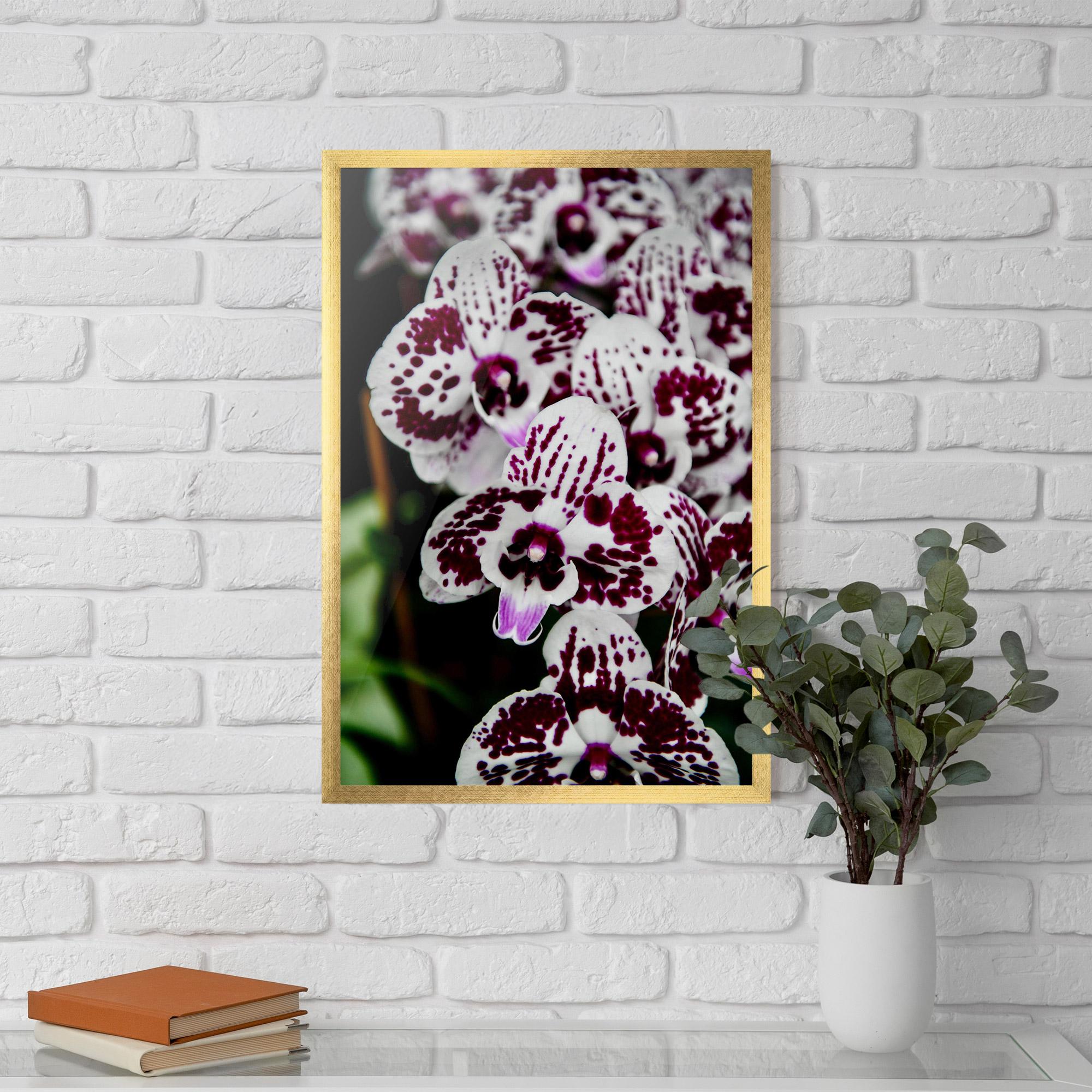 Gerahmte Poster Dark Purple Orchids mockup 5