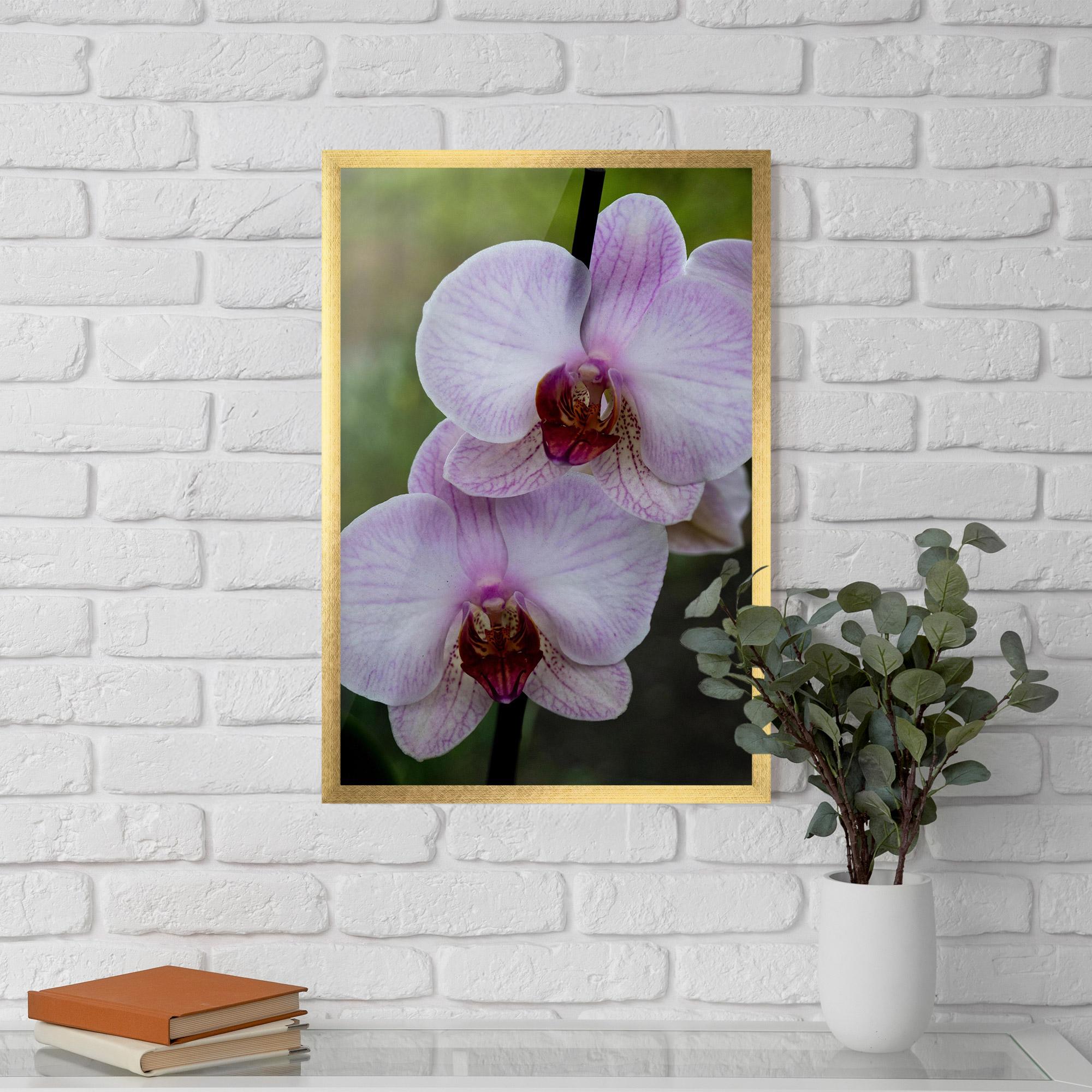 Gerahmte Poster Garden Light Purple Orchid mockup 5