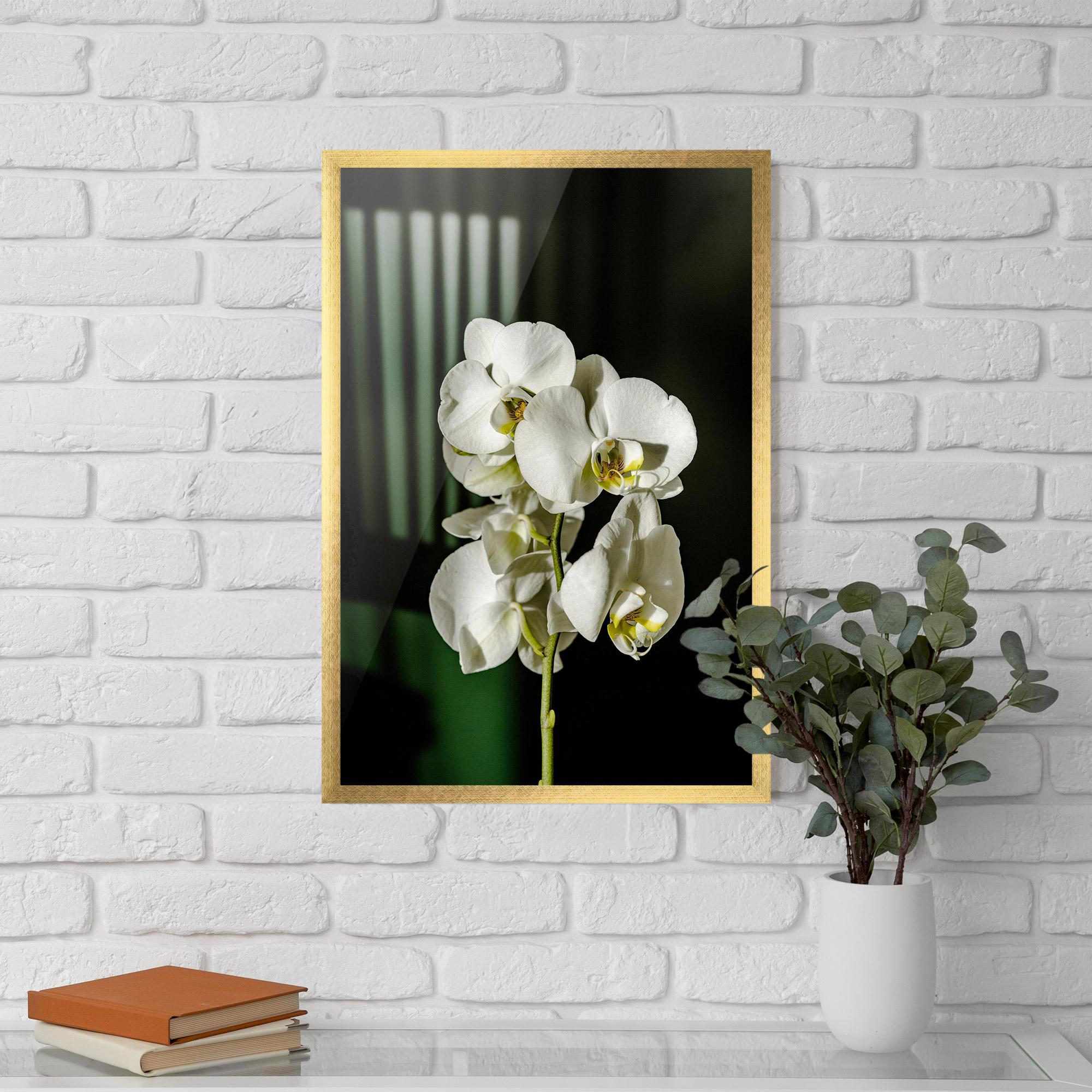 Gerahmte Poster Orchid On Green mockup 5