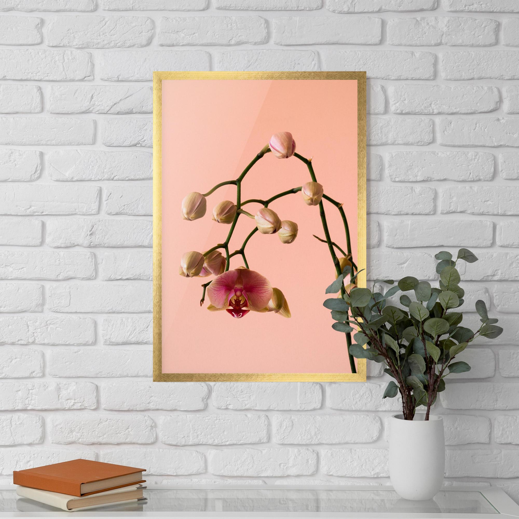 Gerahmte Poster Orchids On Pink mockup 5