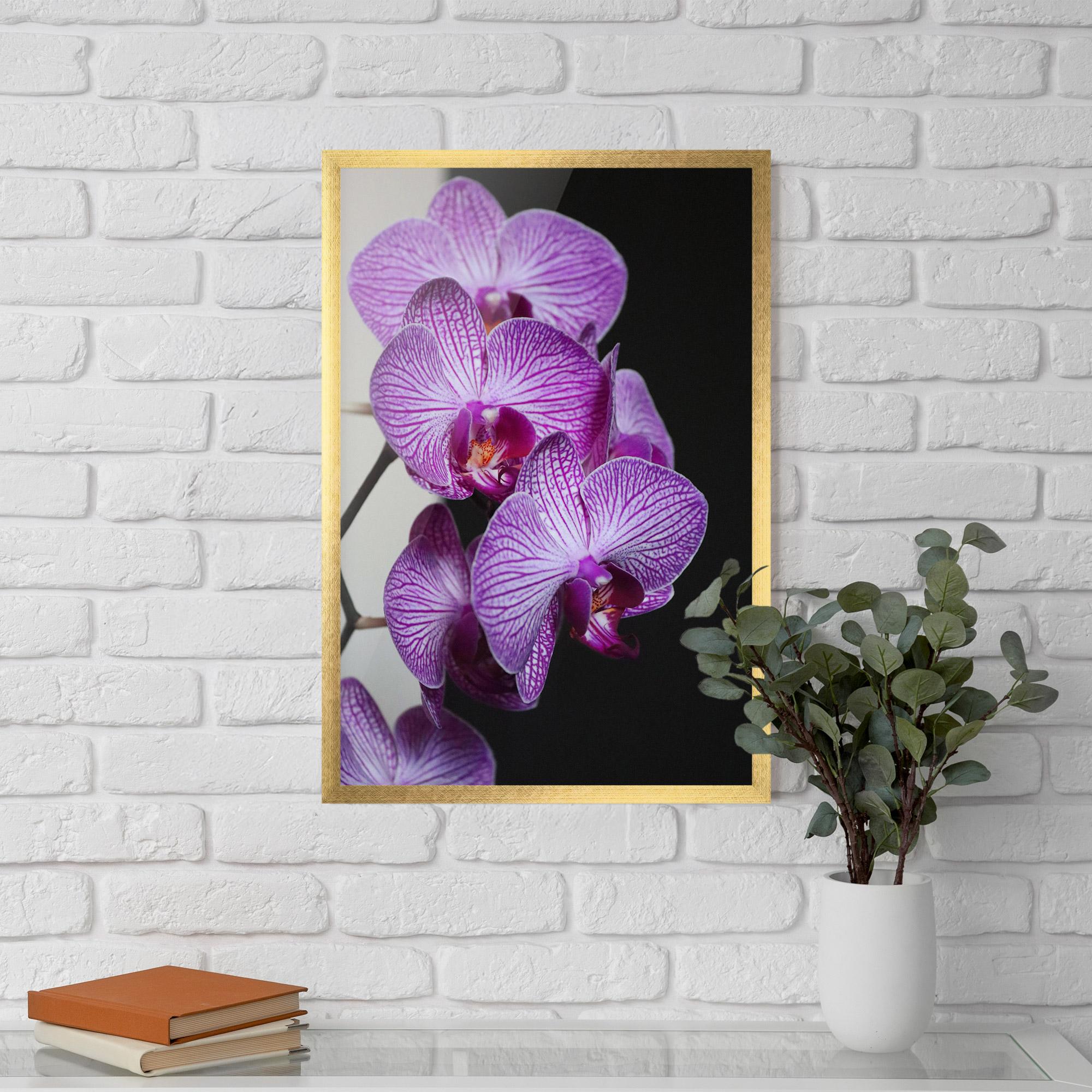 Gerahmte Poster Purple Orchid On Black mockup 5