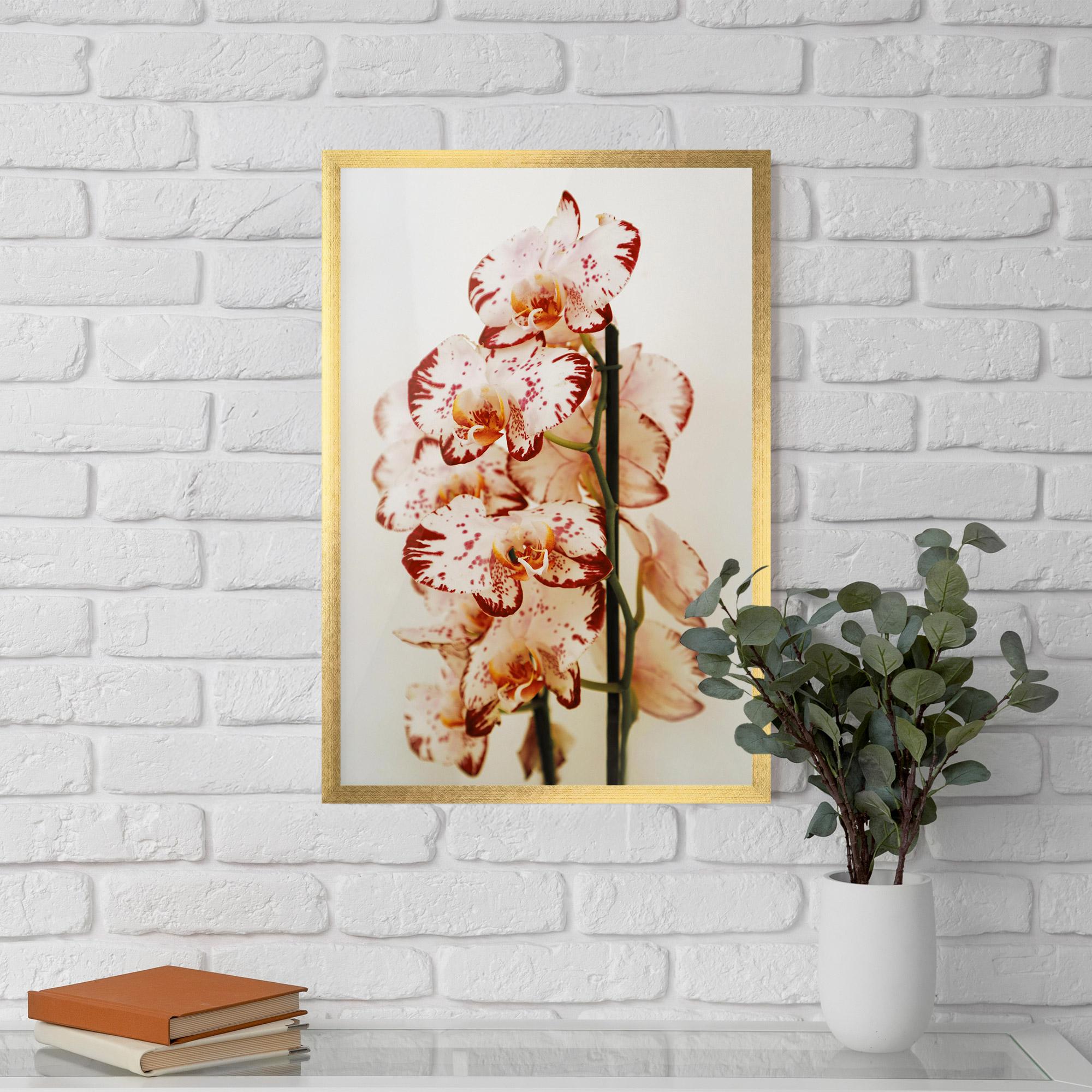 Gerahmte Poster Red White Orchids mockup 5